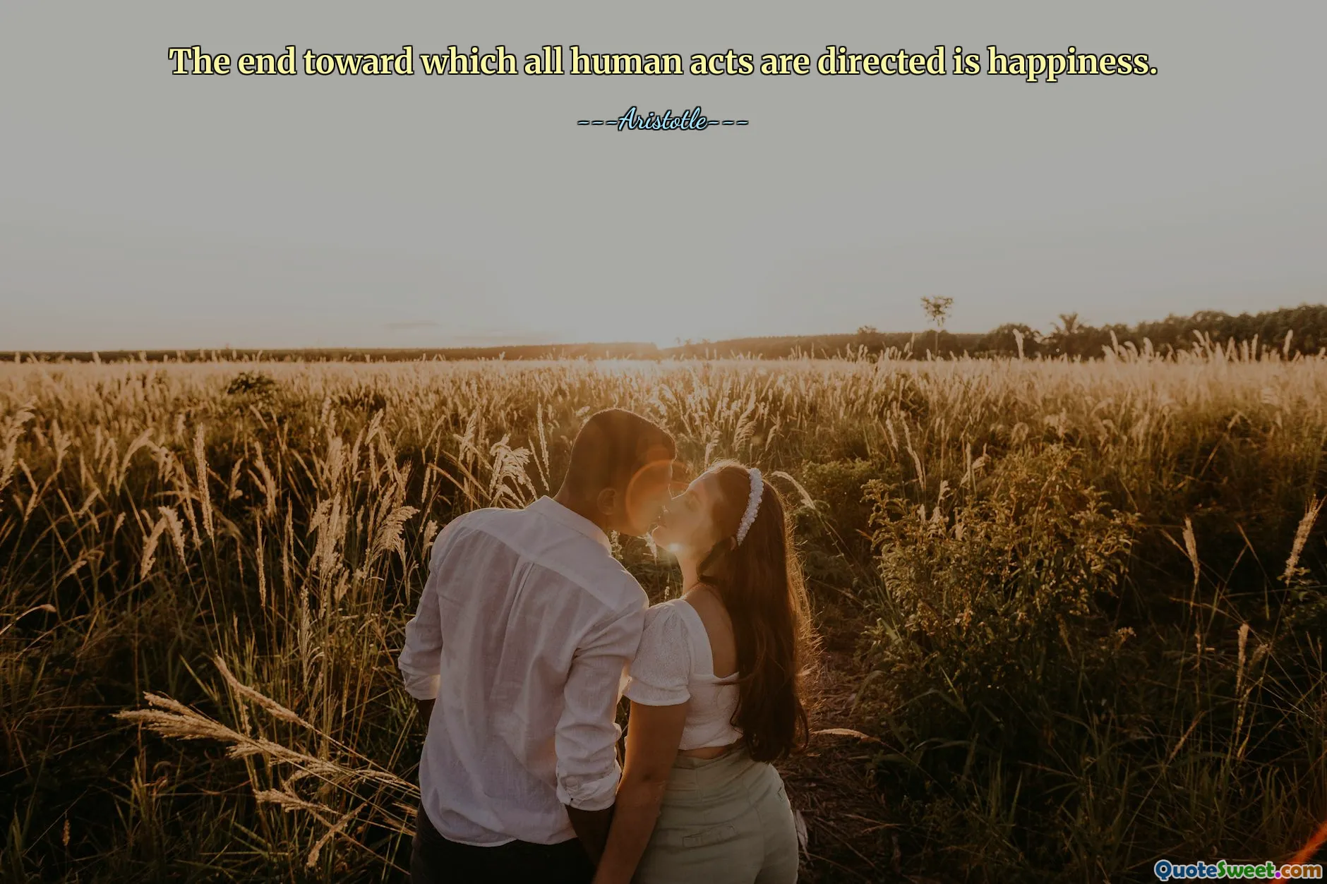 The end toward which all human acts are directed is happiness.