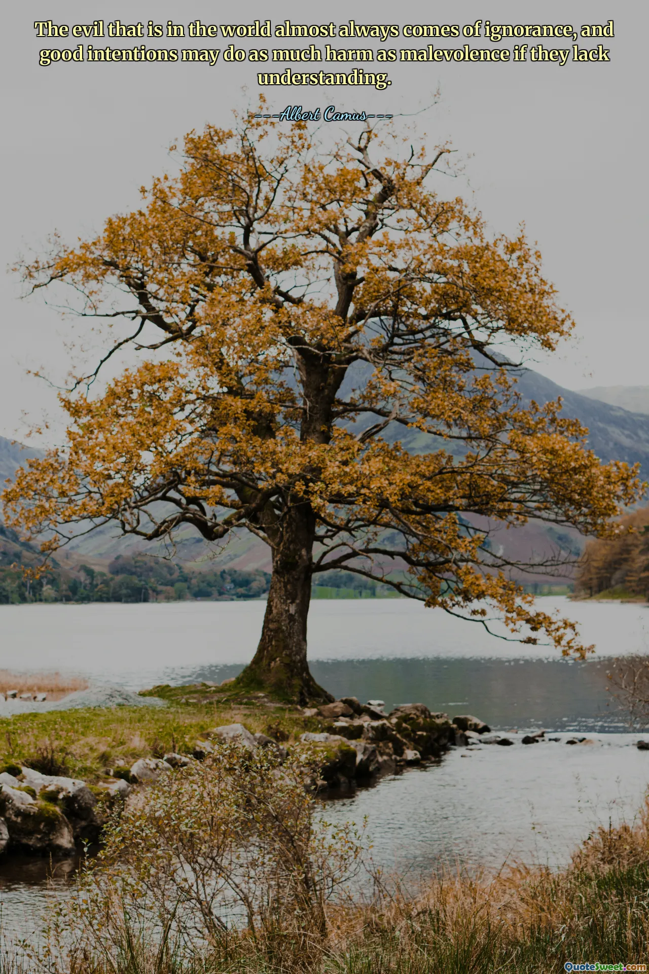 The evil that is in the world almost always comes of ignorance, and good intentions may do as much harm as malevolence if they lack understanding.