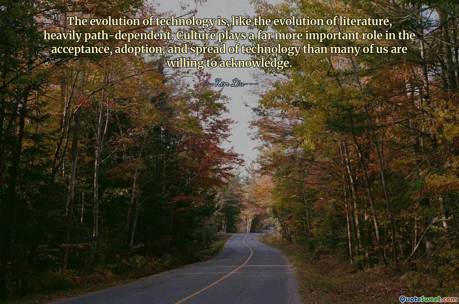 Эволюция технологий, как и эволюция литературы, во многом зависит от пути. Культура играет гораздо более важную роль в принятии, внедрении и распространении технологий, чем многие из нас готовы признать.