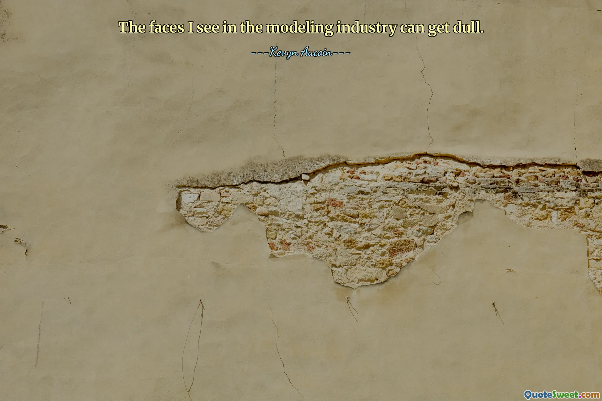 我在模特行业看到的面孔可能会变得呆板。
