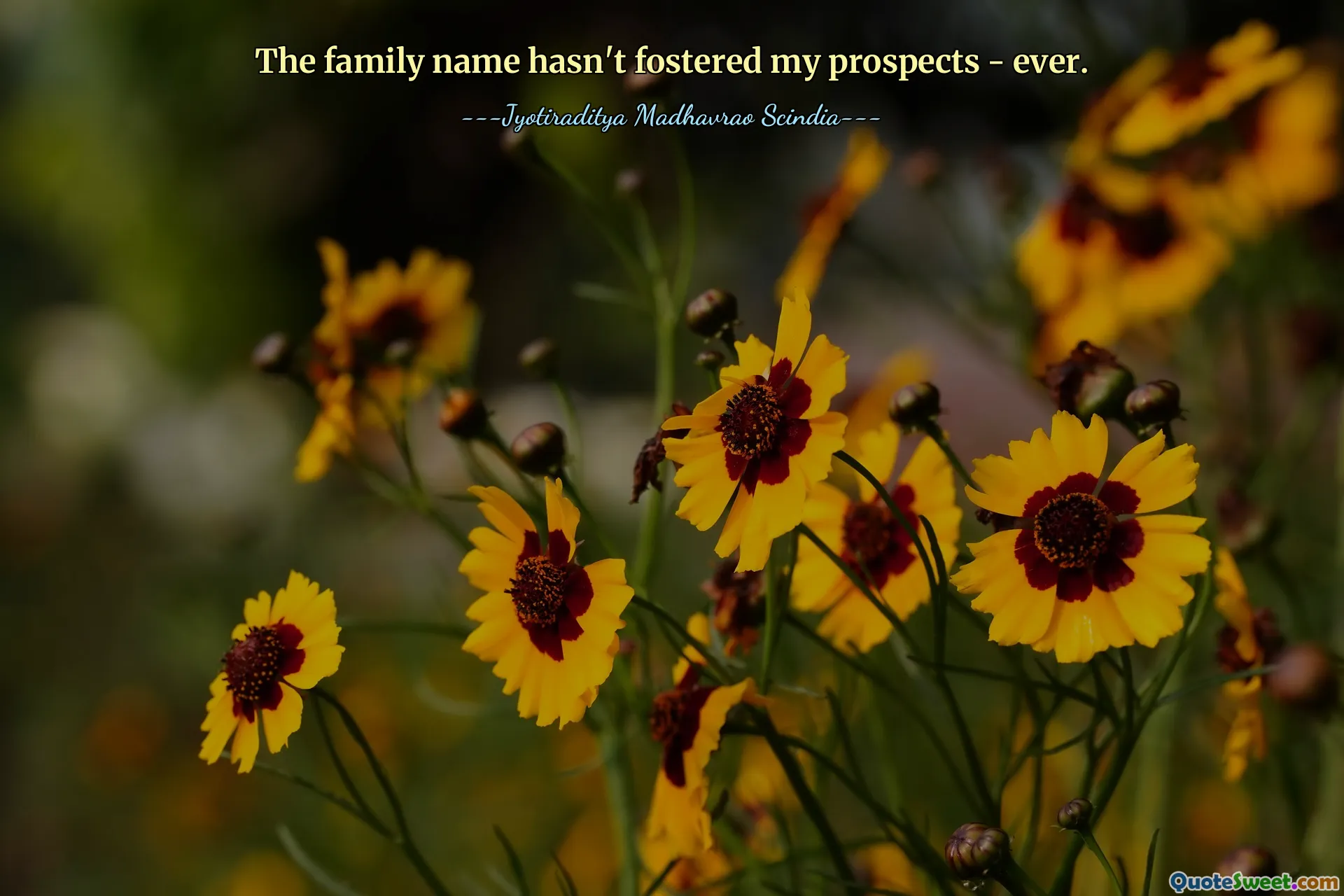 The family name hasn't fostered my prospects - ever.