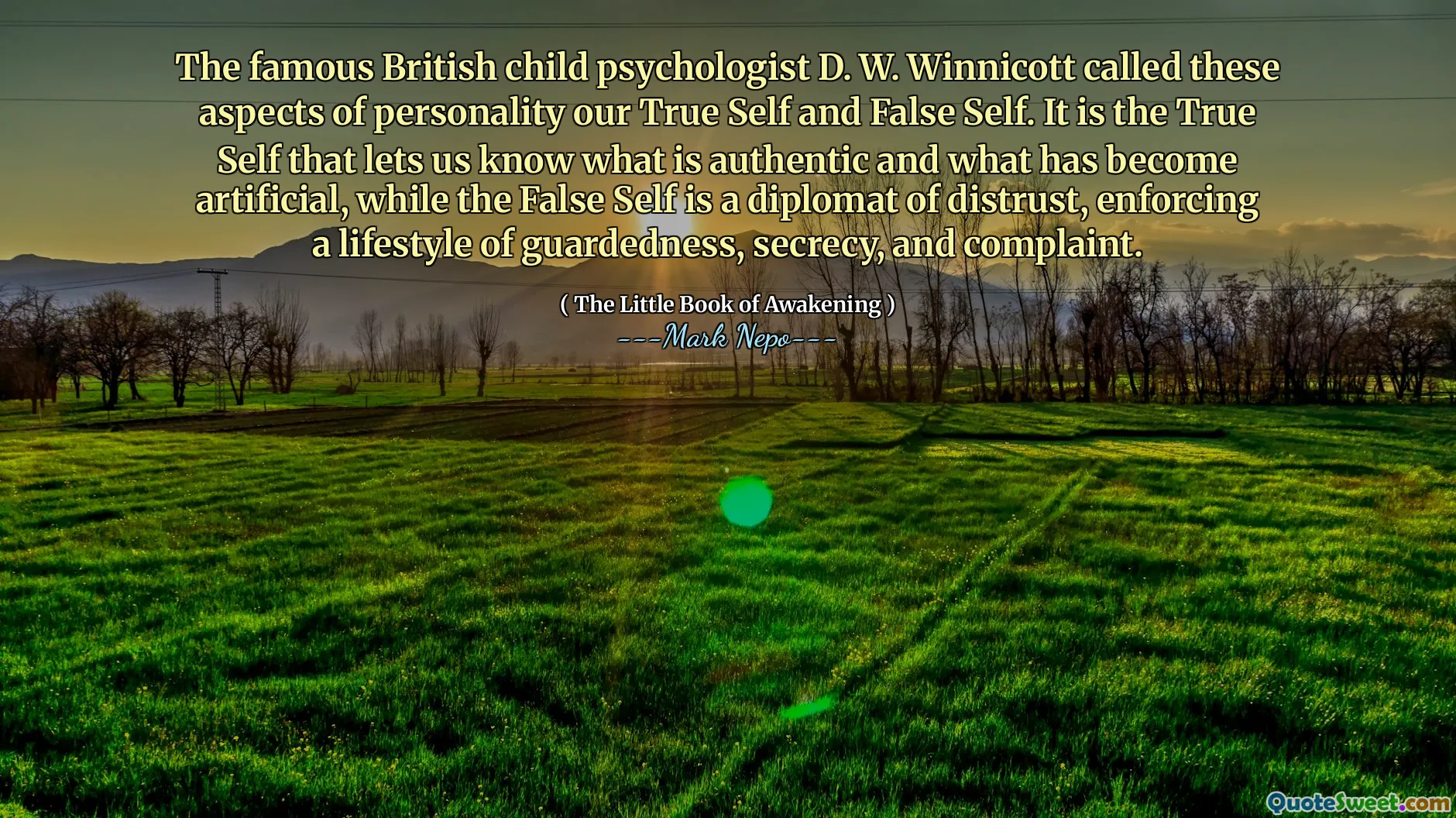 Den berømte britiske barnepsykologen D. W. Winnicott kalte disse aspektene av personlighet vårt sanne jeg og falske jeg. Det er det sanne jeget som lar oss få vite hva som er autentisk og hva som har blitt kunstig, mens det falske jeget er en diplomat med mistillit, og håndhever en livsstil av vakthold, hemmelighold og klage.