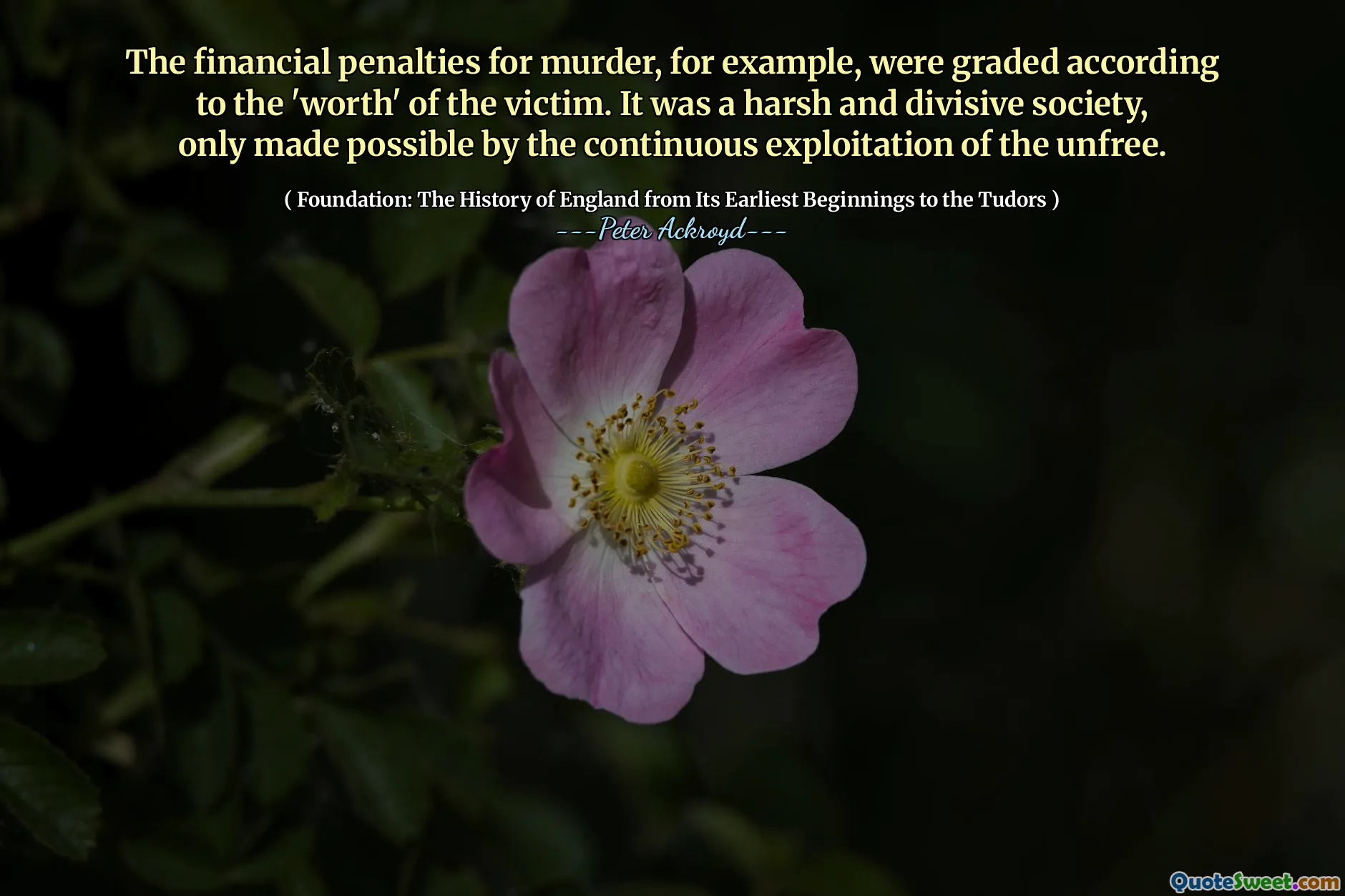 The financial penalties for murder, for example, were graded according to the 'worth' of the victim. It was a harsh and divisive society, only made possible by the continuous exploitation of the unfree.