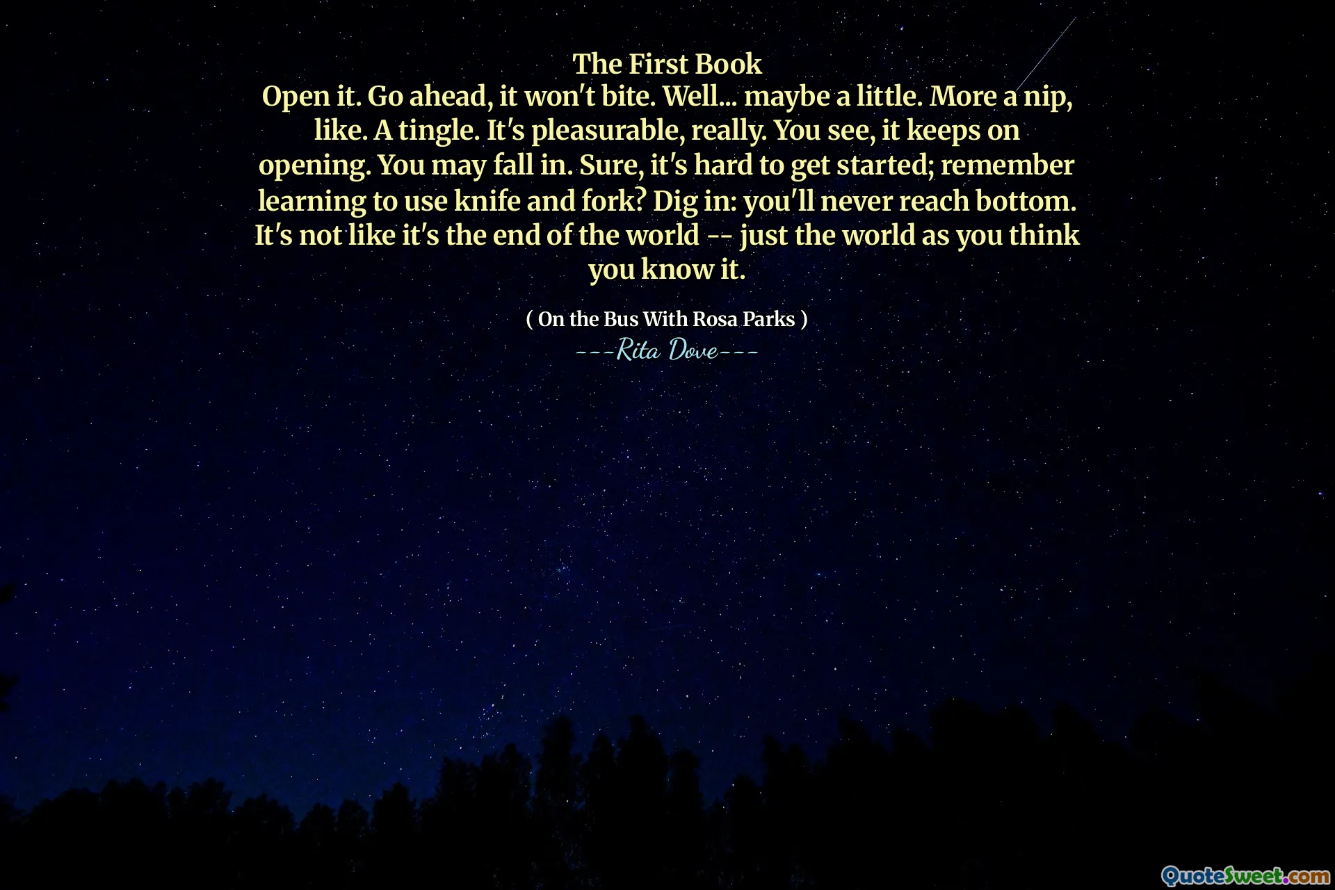 The First Book
Open it. Go ahead, it won't bite. Well... maybe a little. More a nip, like. A tingle. It's pleasurable, really. You see, it keeps on opening. You may fall in. Sure, it's hard to get started; remember learning to use knife and fork? Dig in: you'll never reach bottom. It's not like it's the end of the world -- just the world as you think you know it.