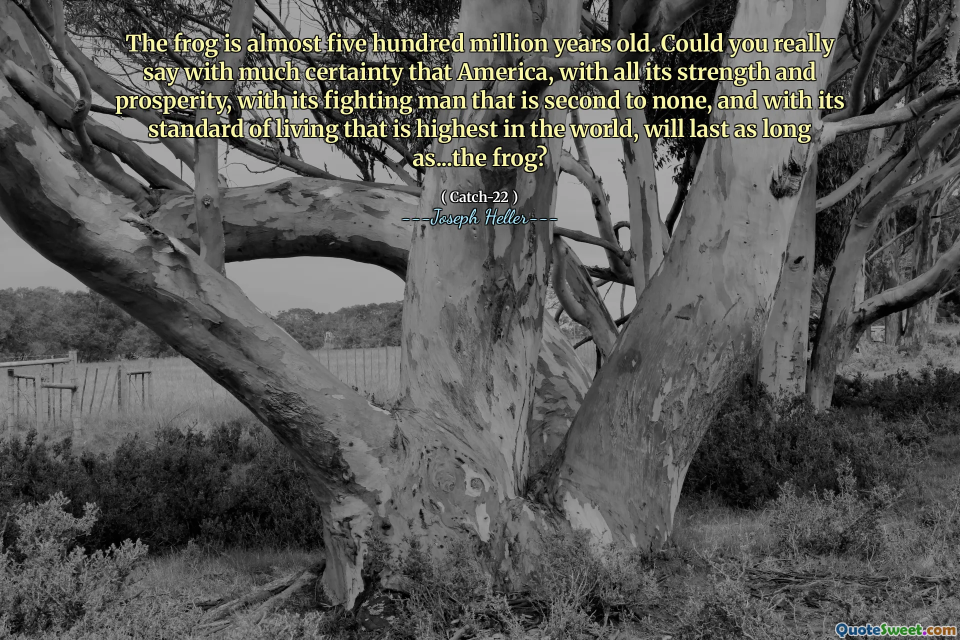 Лягушке почти пятьсот миллионов лет. Не могли бы вы действительно с уверенностью сказать, что Америка, со всей ее силой и процветанием, с его боевым человеком, который не имеет себе равных, и со стандартом жизни, который является самым высоким в мире, будет длиться до тех пор, пока ... лягушка?