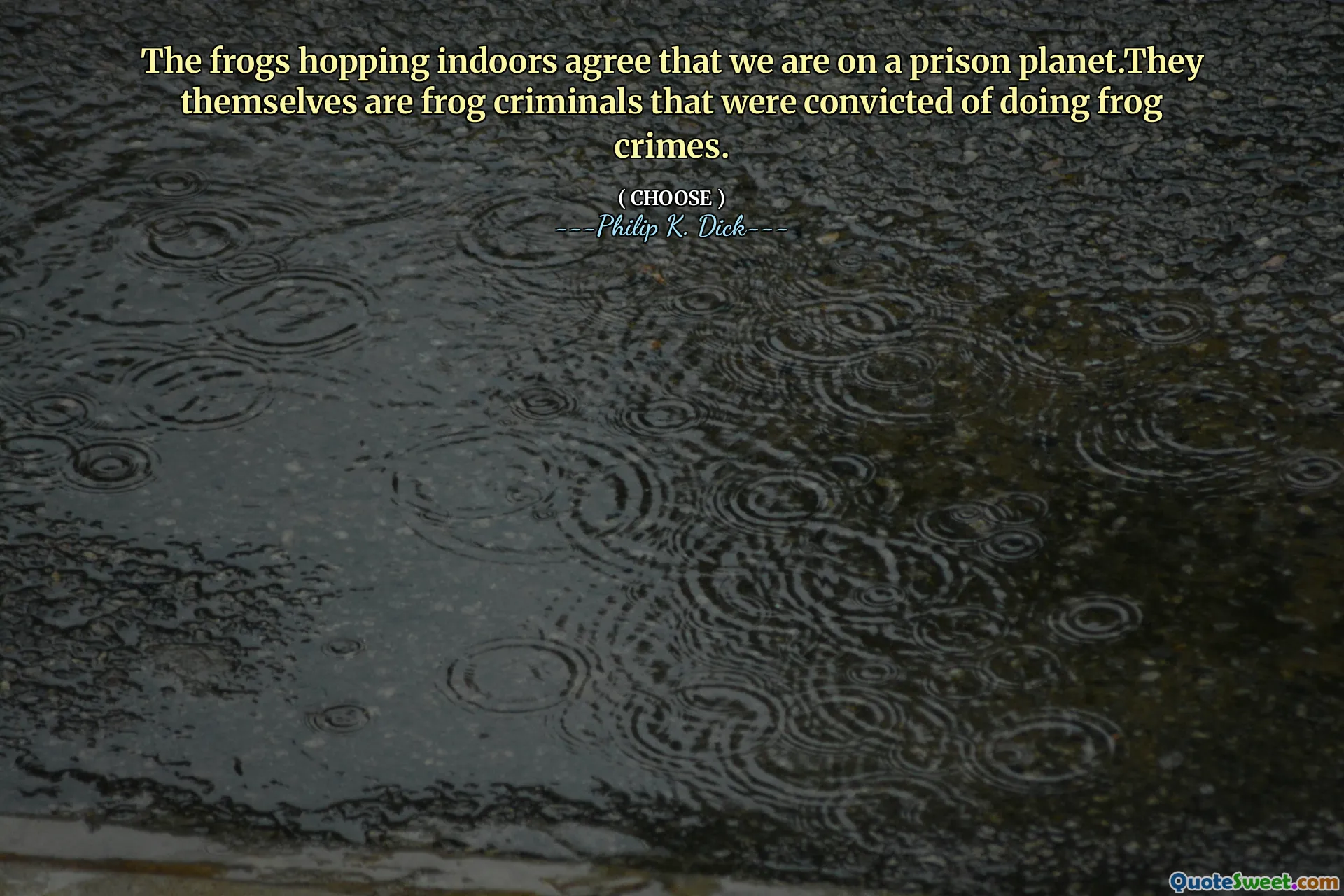 Las ranas saltando en el interior están de acuerdo en que estamos en un planeta de prisión. Son criminales de rana condenados por hacer crímenes de rana.