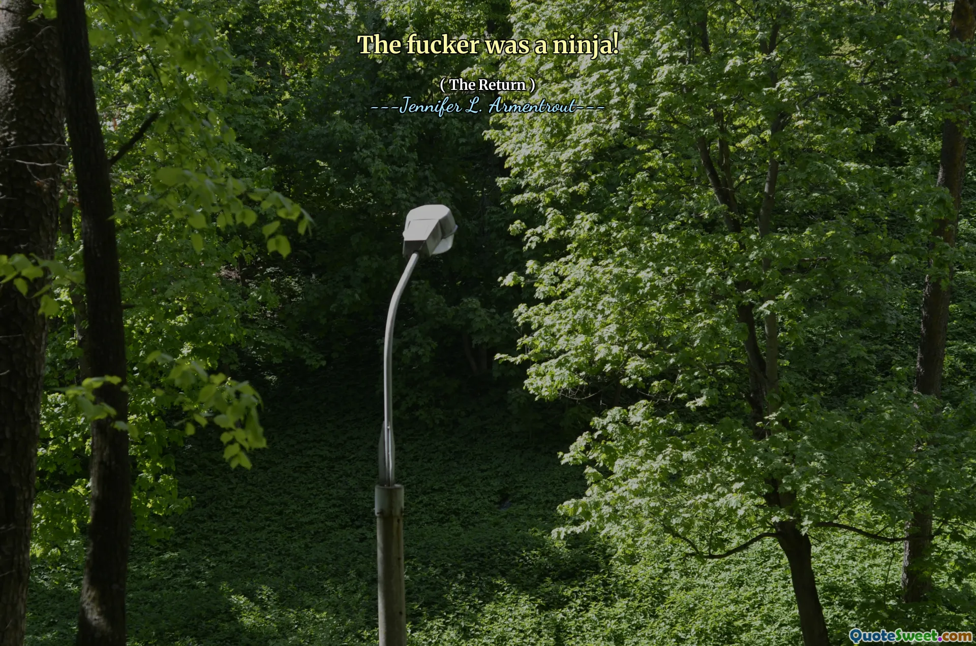 The fucker was a ninja!