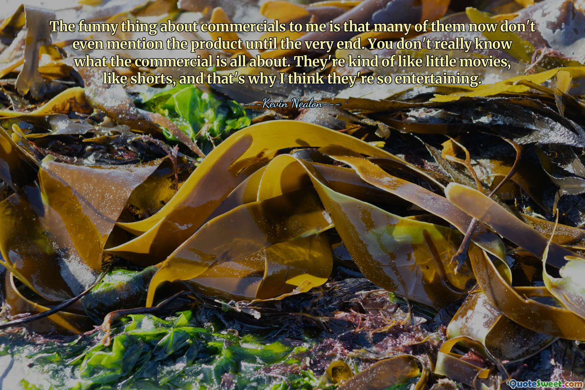 Lucrul amuzant despre reclame pentru mine este că multe dintre ele acum nici măcar nu menționează produsul până la sfârșit. Nu prea știi despre ce este vorba în reclamă. Sunt un fel de filme mici, ca scurtmetraje, și de aceea cred că sunt atât de distractive.