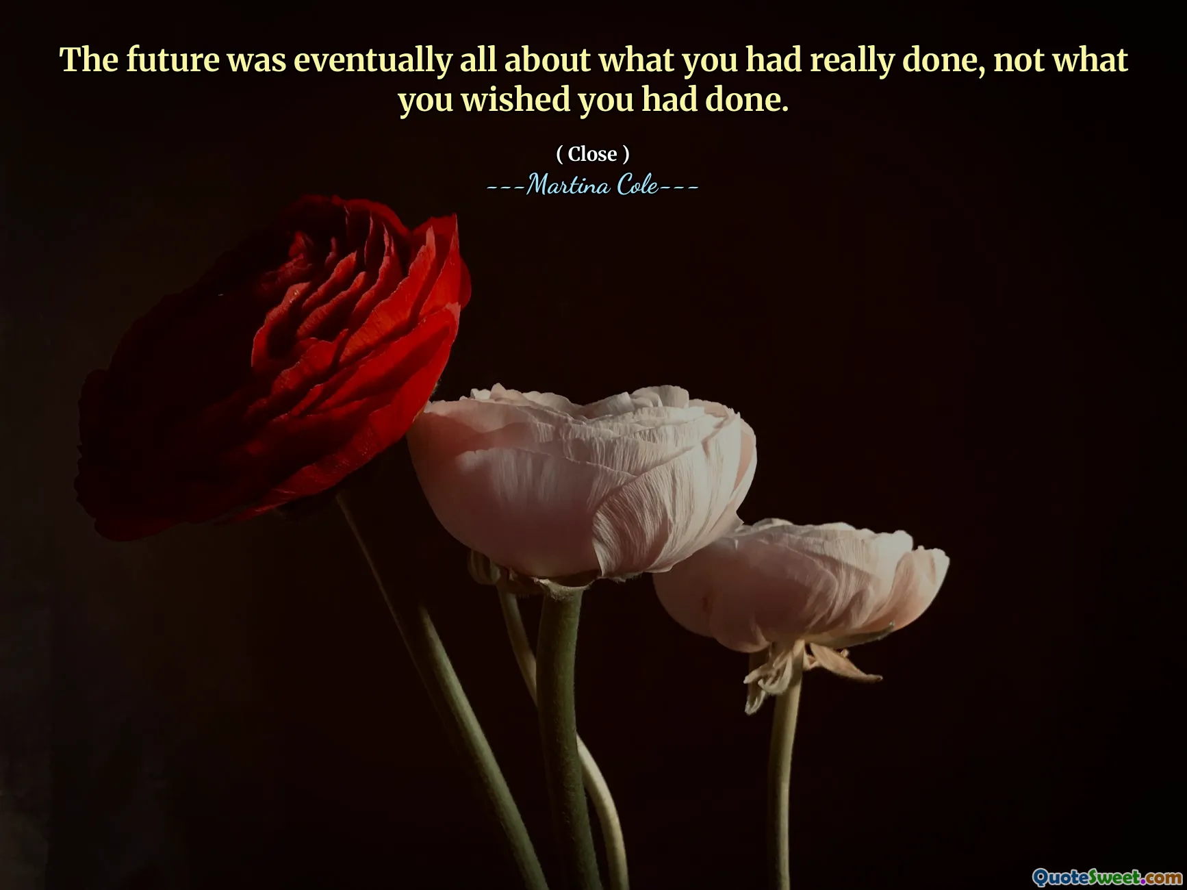 भविष्य आखिरकार था कि आपने वास्तव में क्या किया था, न कि आपने जो चाहा था, वह नहीं था।