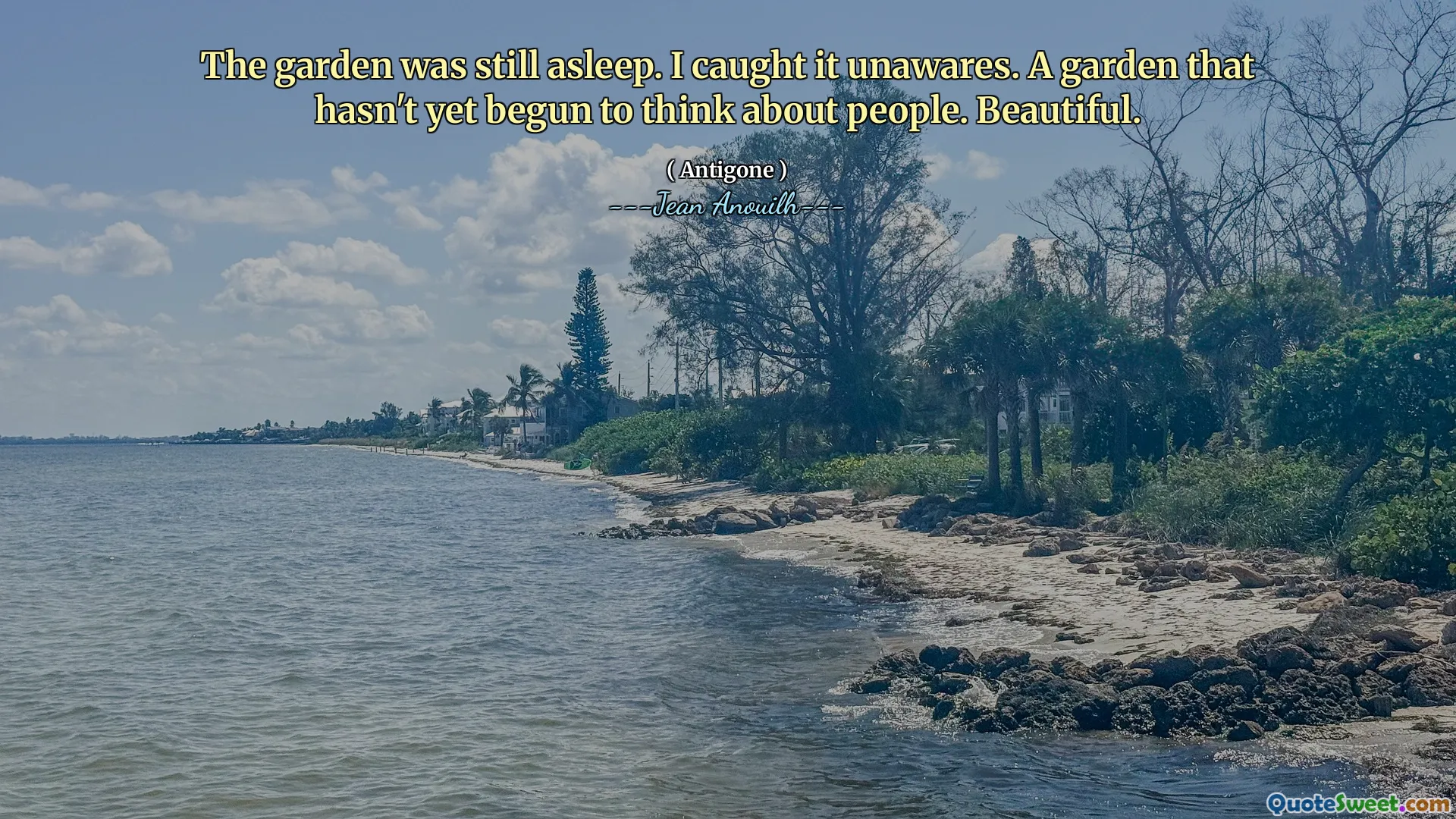 Ogród wciąż spał. Złapałem to niezachwiane. Ogród, który jeszcze nie zaczął myśleć o ludziach. Piękny.