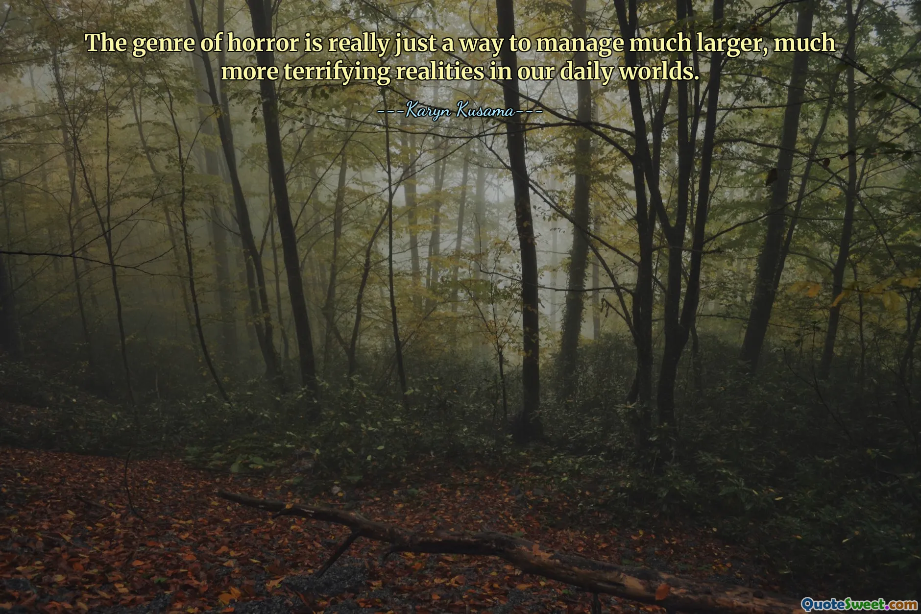 The genre of horror is really just a way to manage much larger, much more terrifying realities in our daily worlds.