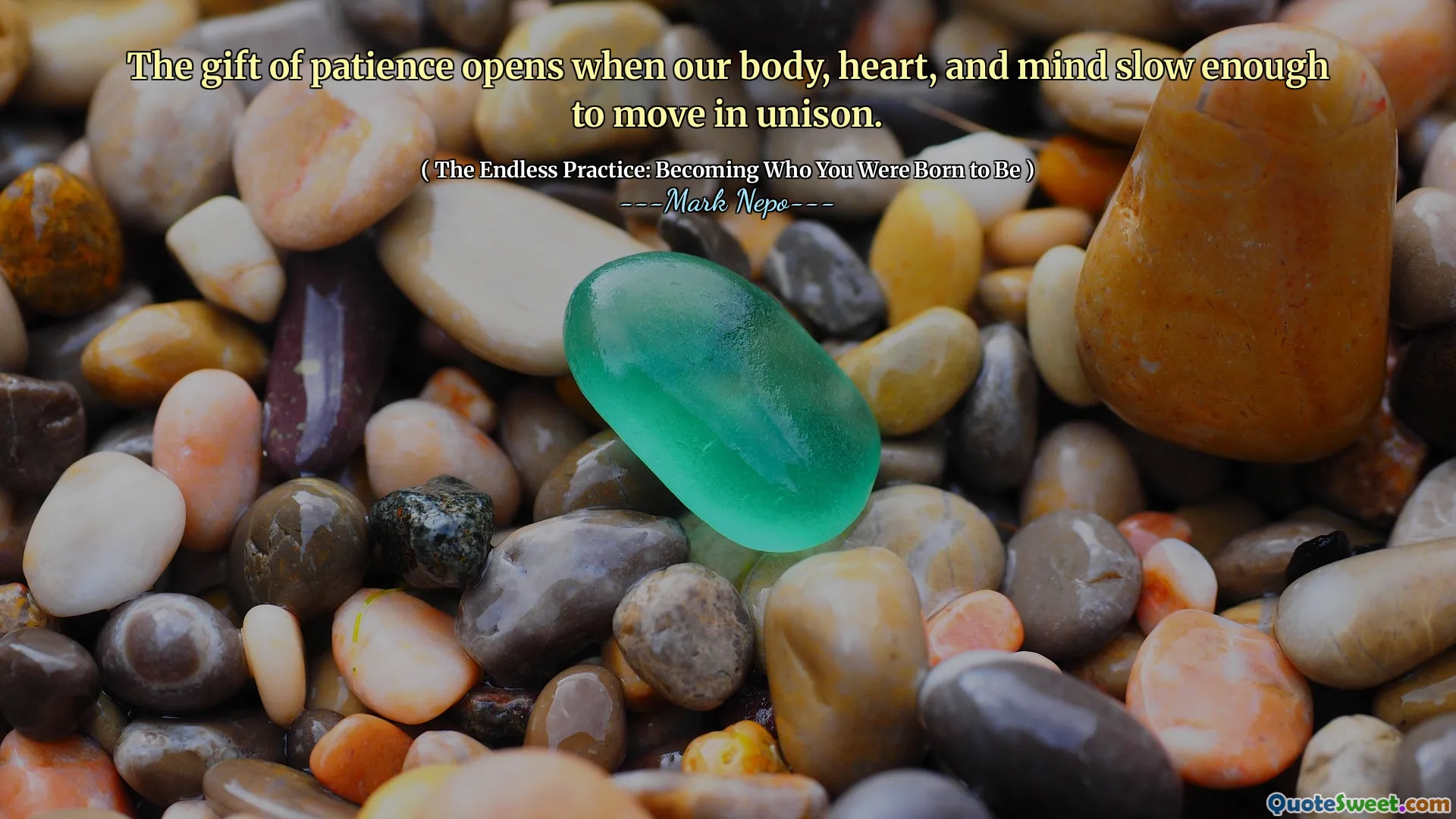 The gift of patience opens when our body, heart, and mind slow enough to move in unison.