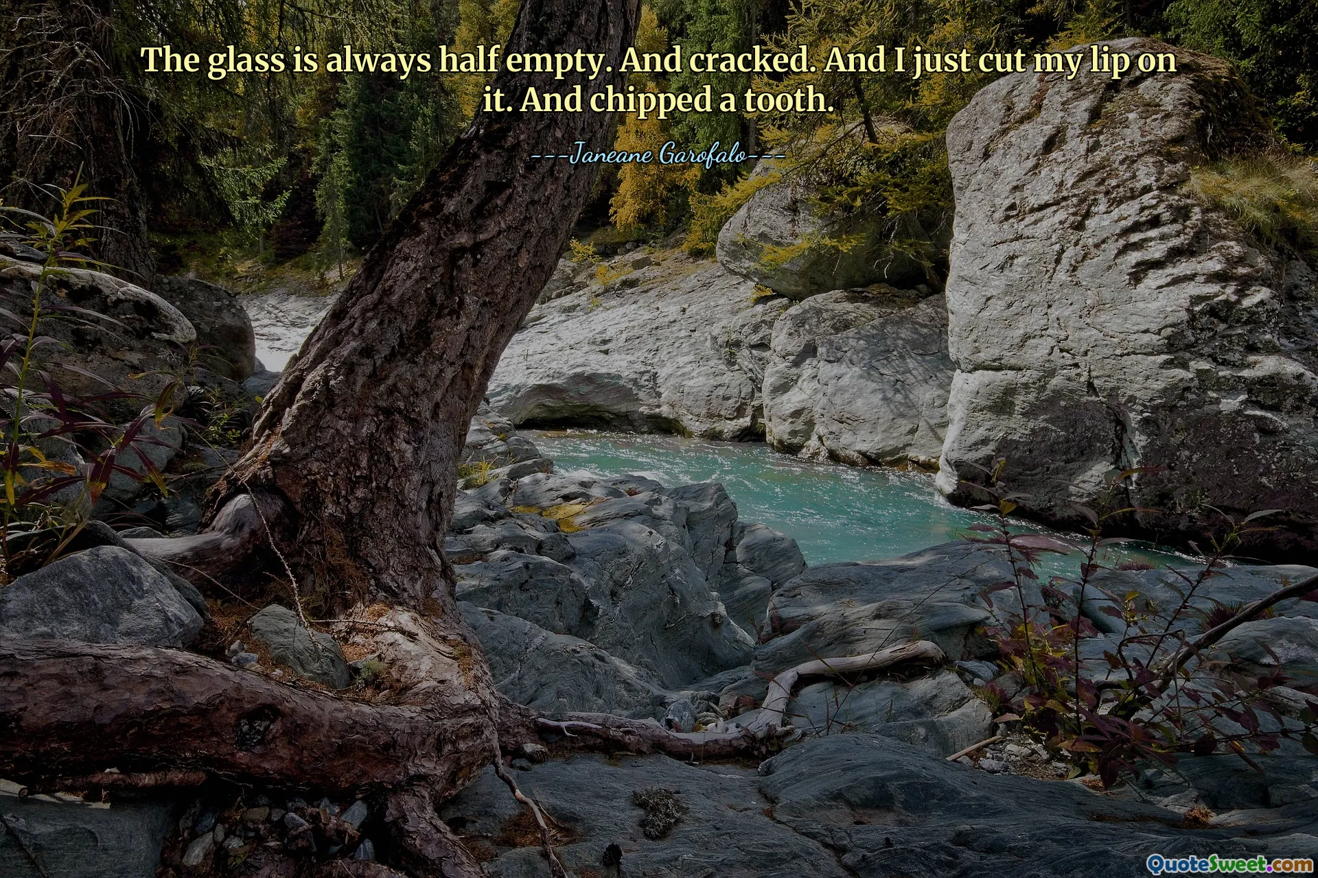 The glass is always half empty. And cracked. And I just cut my lip on it. And chipped a tooth.