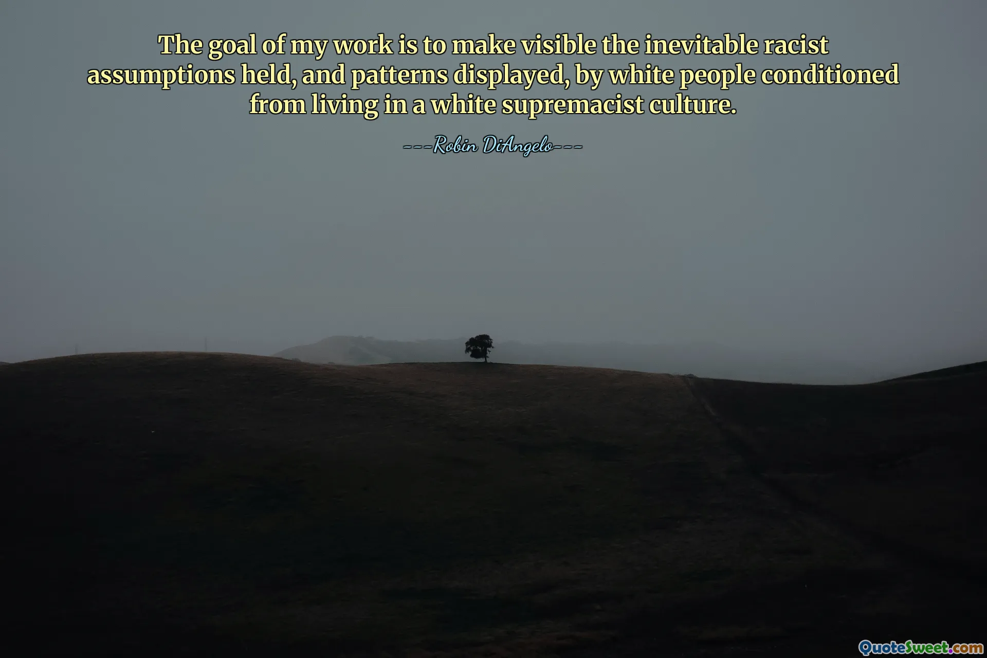 The goal of my work is to make visible the inevitable racist assumptions held, and patterns displayed, by white people conditioned from living in a white supremacist culture.