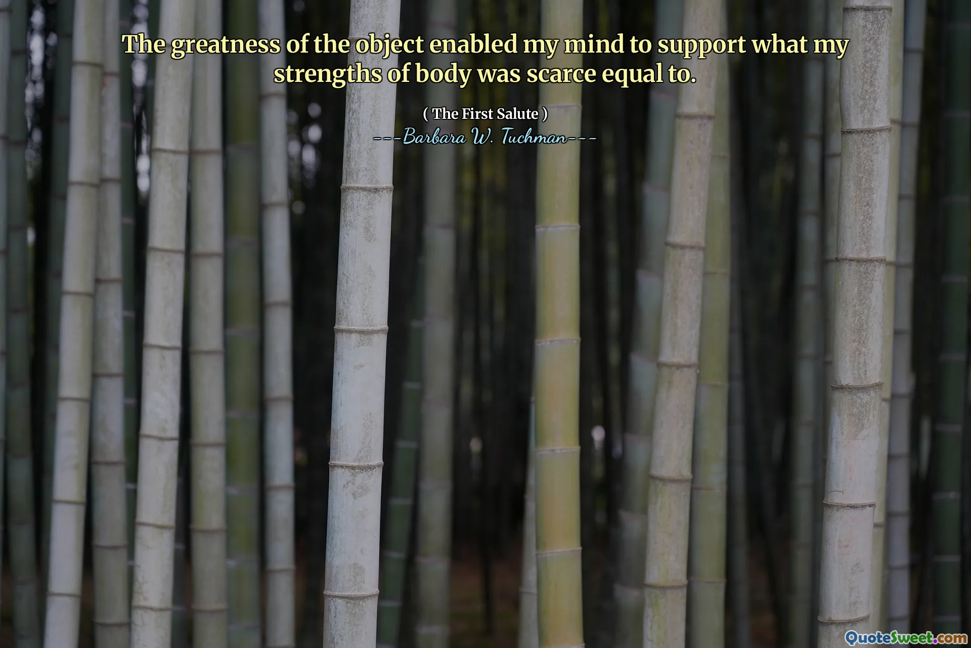 The greatness of the object enabled my mind to support what my strengths of body was scarce equal to.