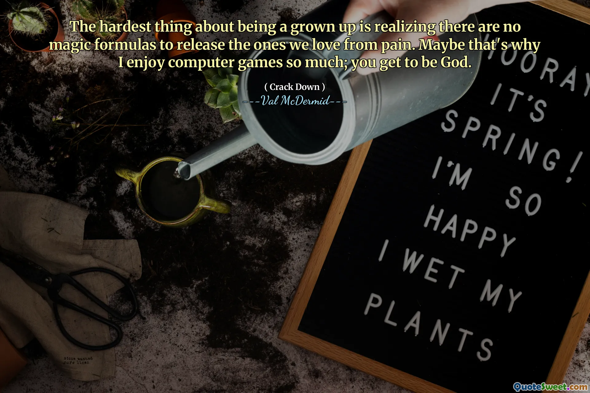 The hardest thing about being a grown up is realizing there are no magic formulas to release the ones we love from pain. Maybe that's why I enjoy computer games so much; you get to be God.