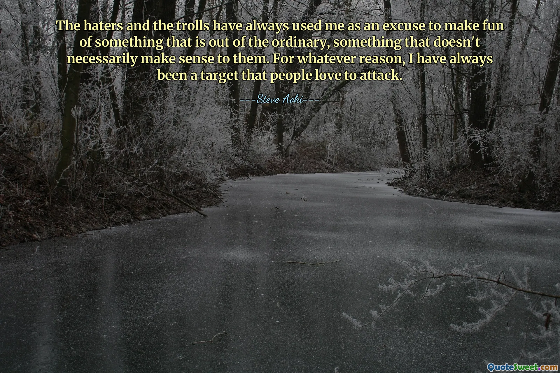 The haters and the trolls have always used me as an excuse to make fun of something that is out of the ordinary, something that doesn't necessarily make sense to them. For whatever reason, I have always been a target that people love to attack.