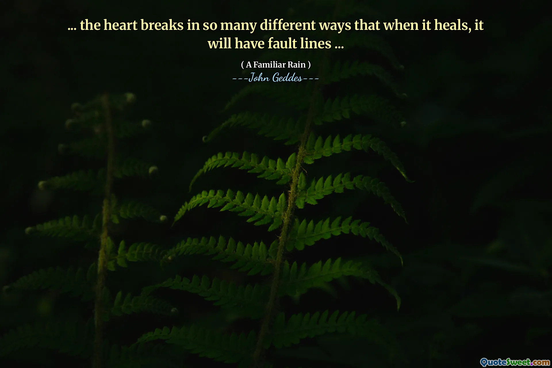 ... the heart breaks in so many different ways that when it heals, it will have fault lines ...