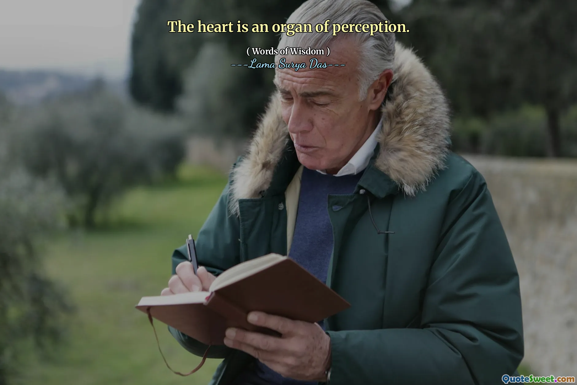 Hjertet er et oppfatningsorgan.