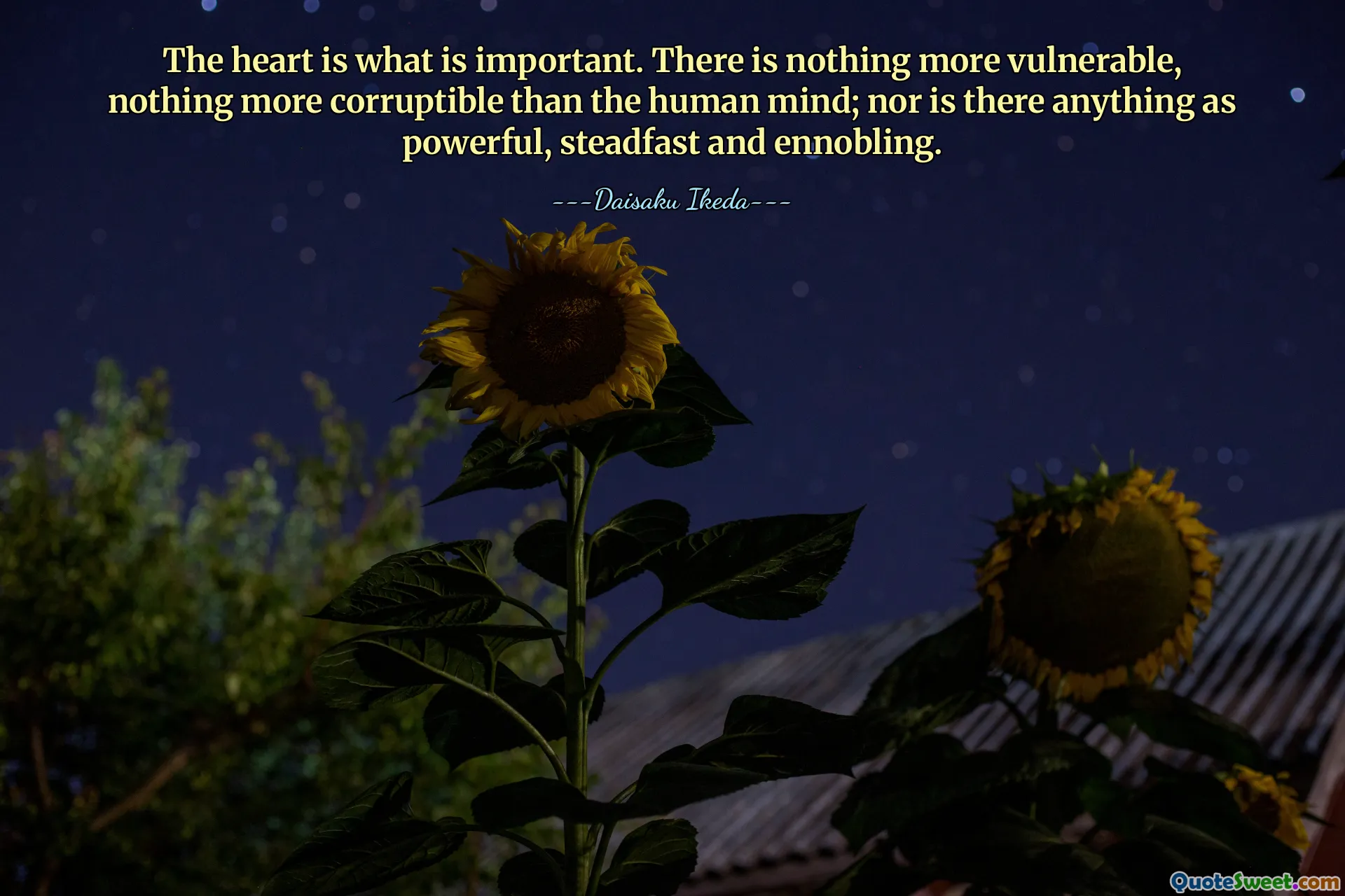 The heart is what is important. There is nothing more vulnerable, nothing more corruptible than the human mind; nor is there anything as powerful, steadfast and ennobling.