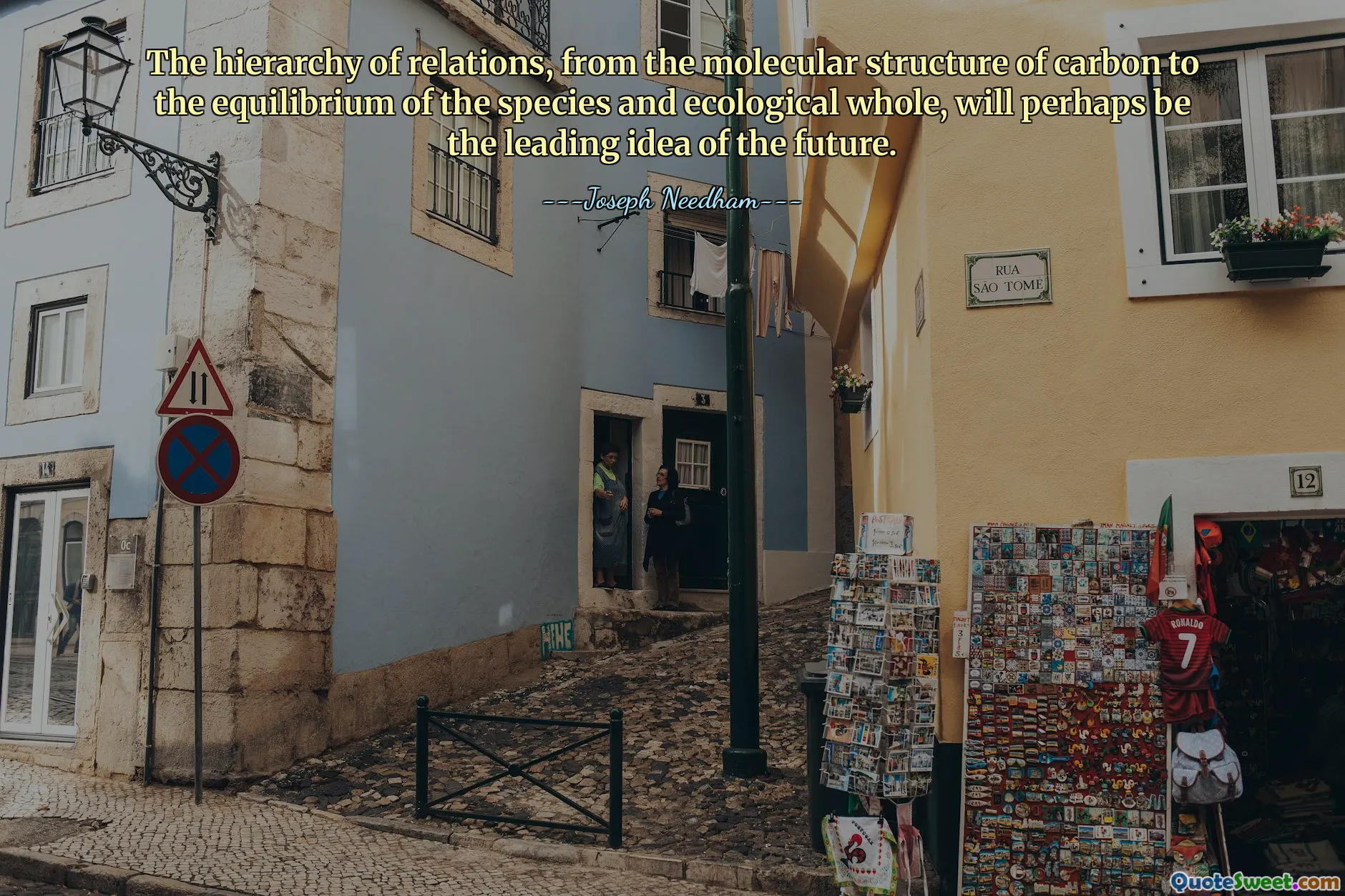 The hierarchy of relations, from the molecular structure of carbon to the equilibrium of the species and ecological whole, will perhaps be the leading idea of the future.