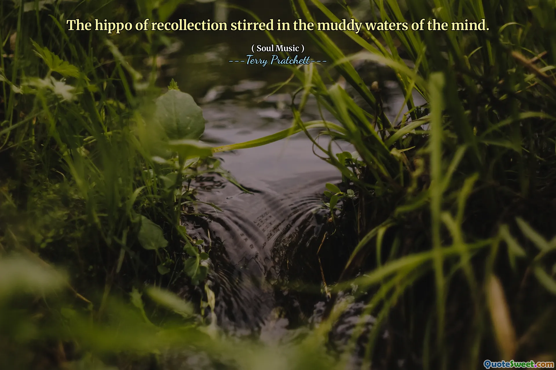 The hippo of recollection stirred in the muddy waters of the mind.