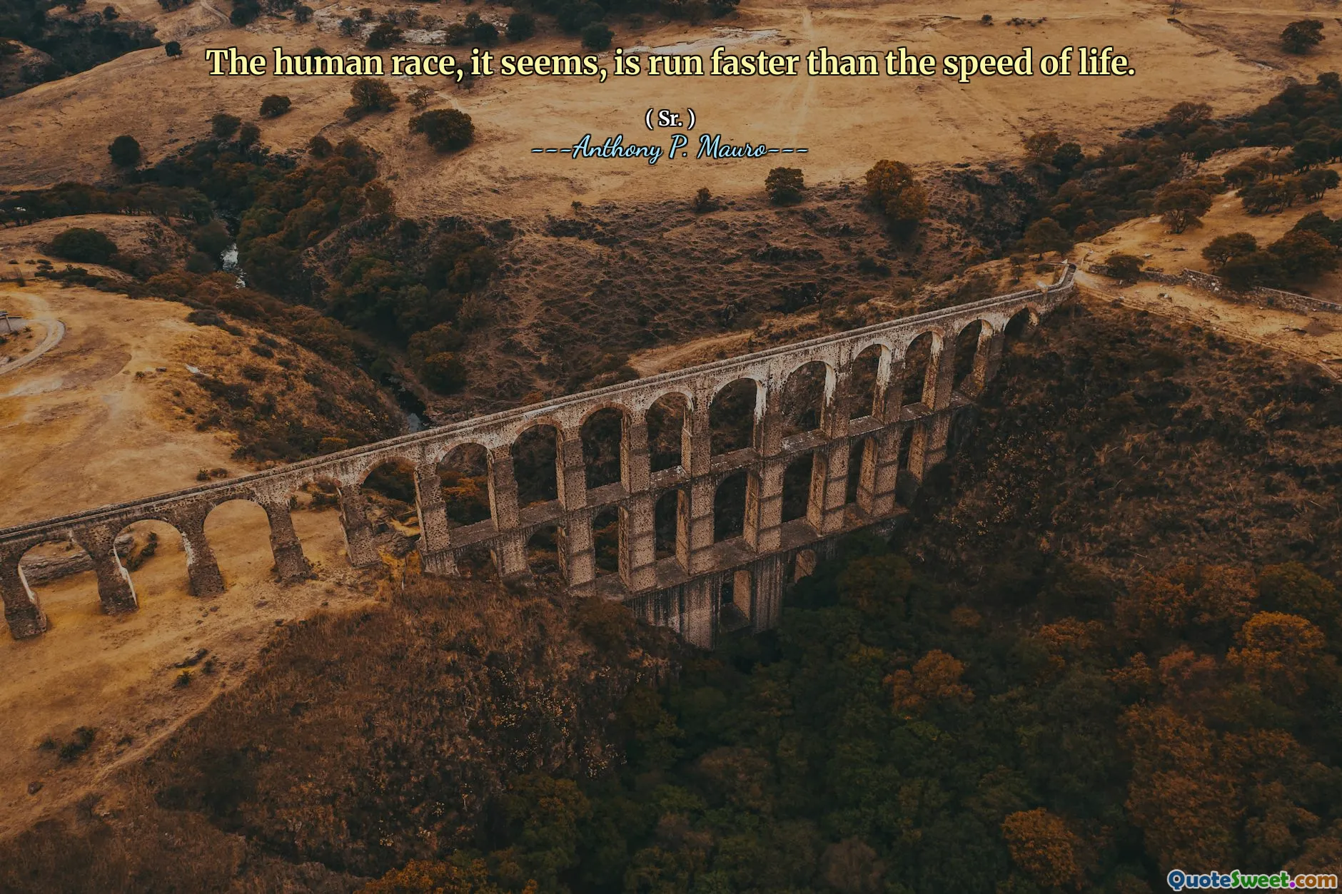 The human race, it seems, is run faster than the speed of life.