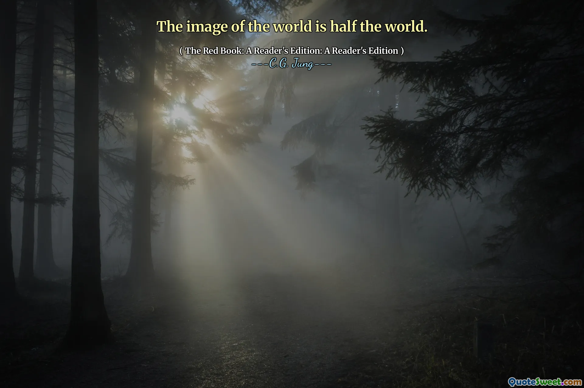 The image of the world is half the world.