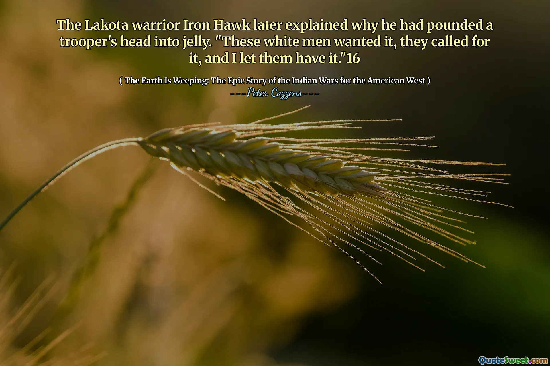 Chiến binh Lakota Iron Hawk sau đó đã giải thích lý do tại sao anh ta đập đầu vào một người lính vào thạch. "Những người đàn ông da trắng này muốn nó, họ đã gọi nó và tôi đã để họ có nó." 16