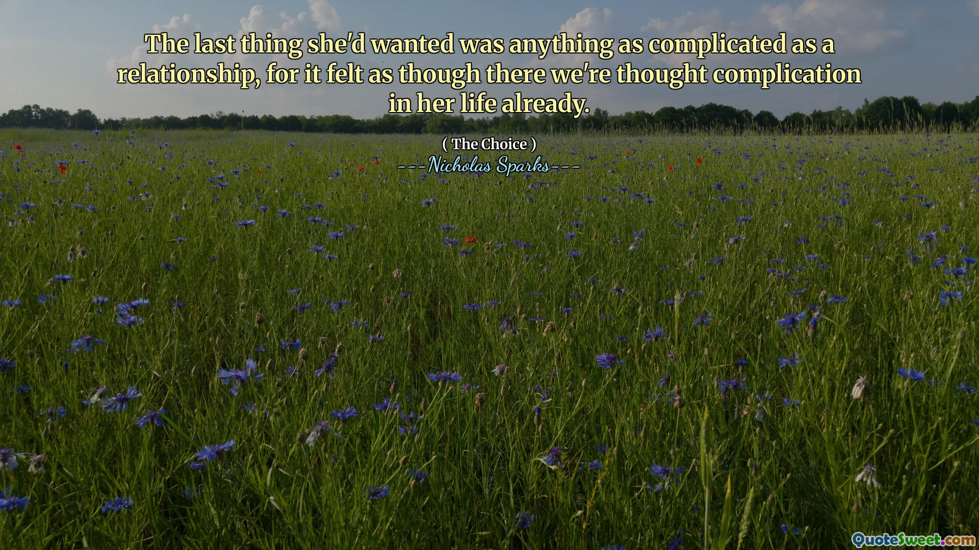 The last thing she'd wanted was anything as complicated as a relationship, for it felt as though there we're thought complication in her life already.
