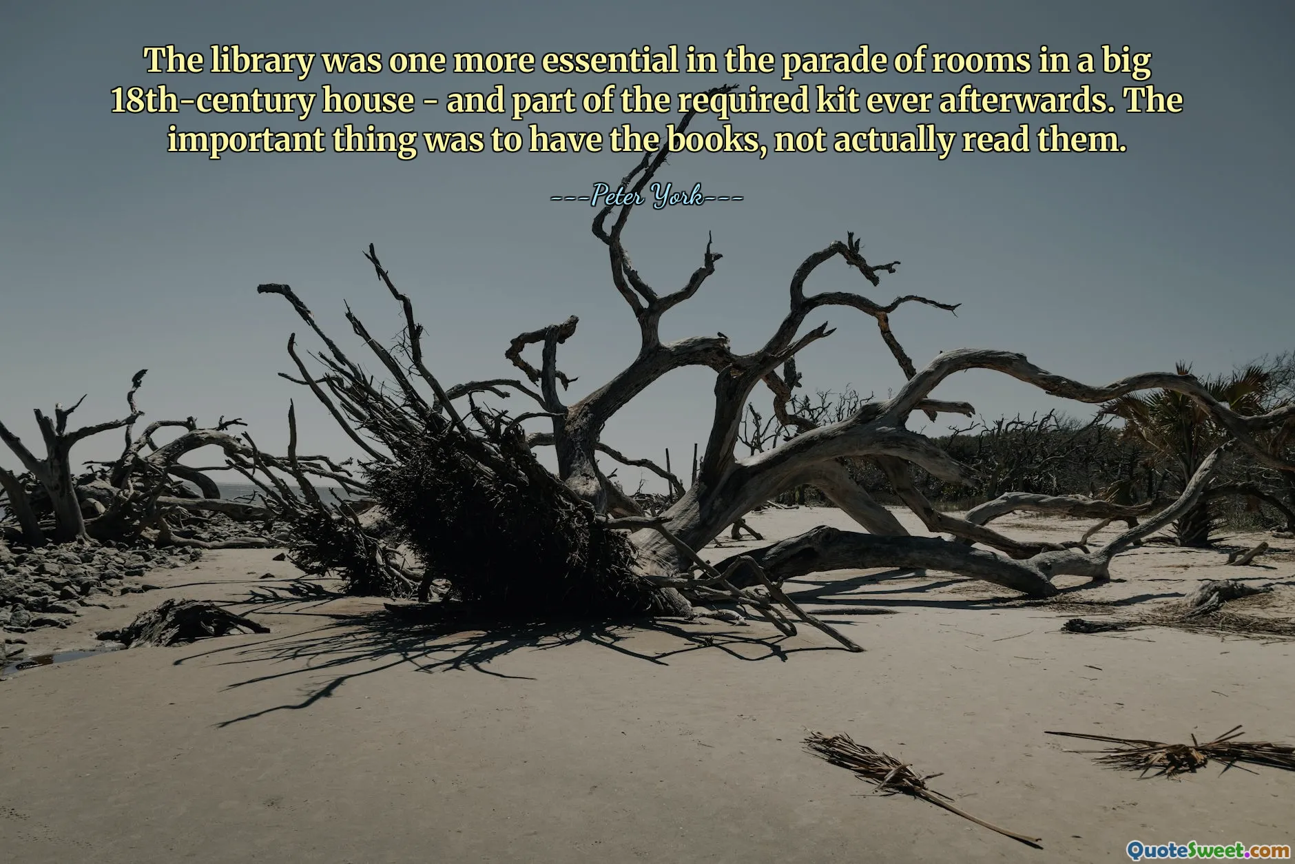 Thư viện là một trong những thứ không thể thiếu trong dãy phòng trong một ngôi nhà lớn từ thế kỷ 18 - và là một phần của bộ dụng cụ cần thiết kể từ đó. Điều quan trọng là phải có sách chứ không phải thực sự đọc chúng.