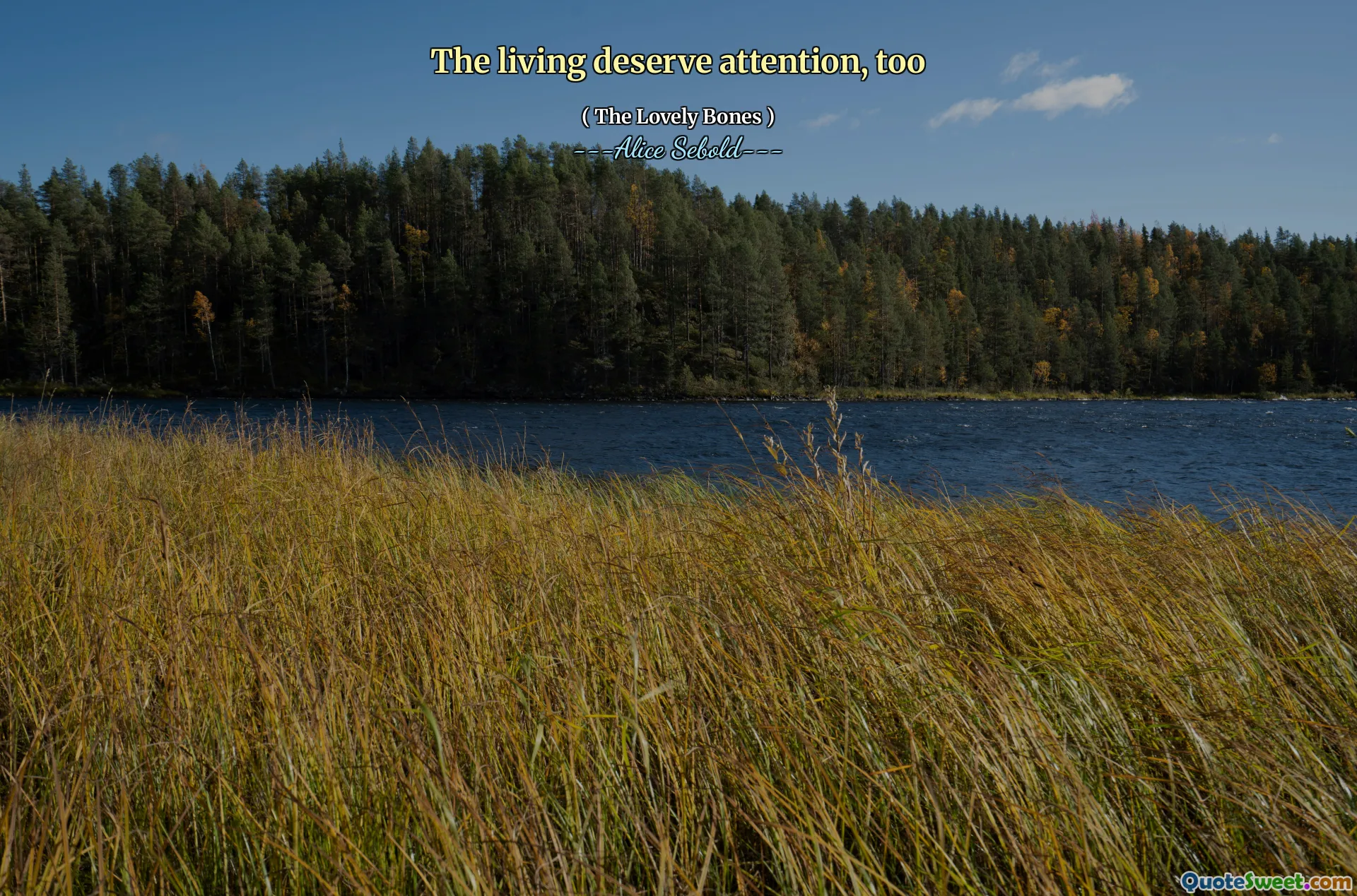 The living deserve attention, too