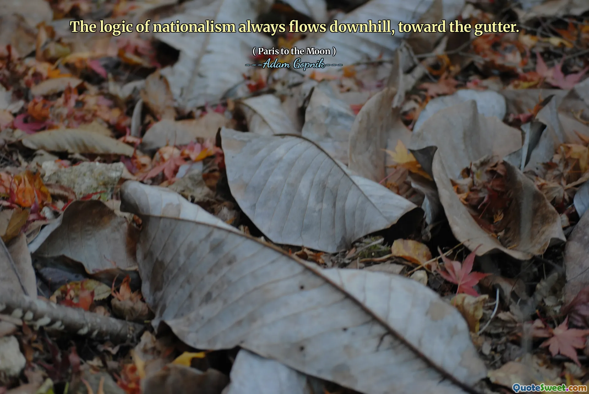 民族主义的逻辑总是下坡，朝着排水沟。