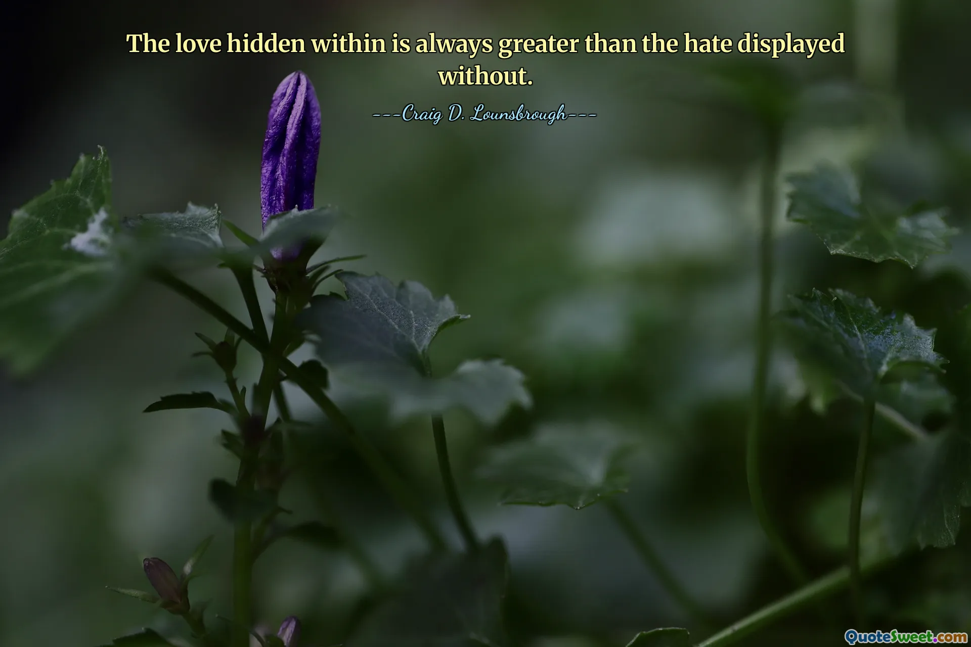 The love hidden within is always greater than the hate displayed without.