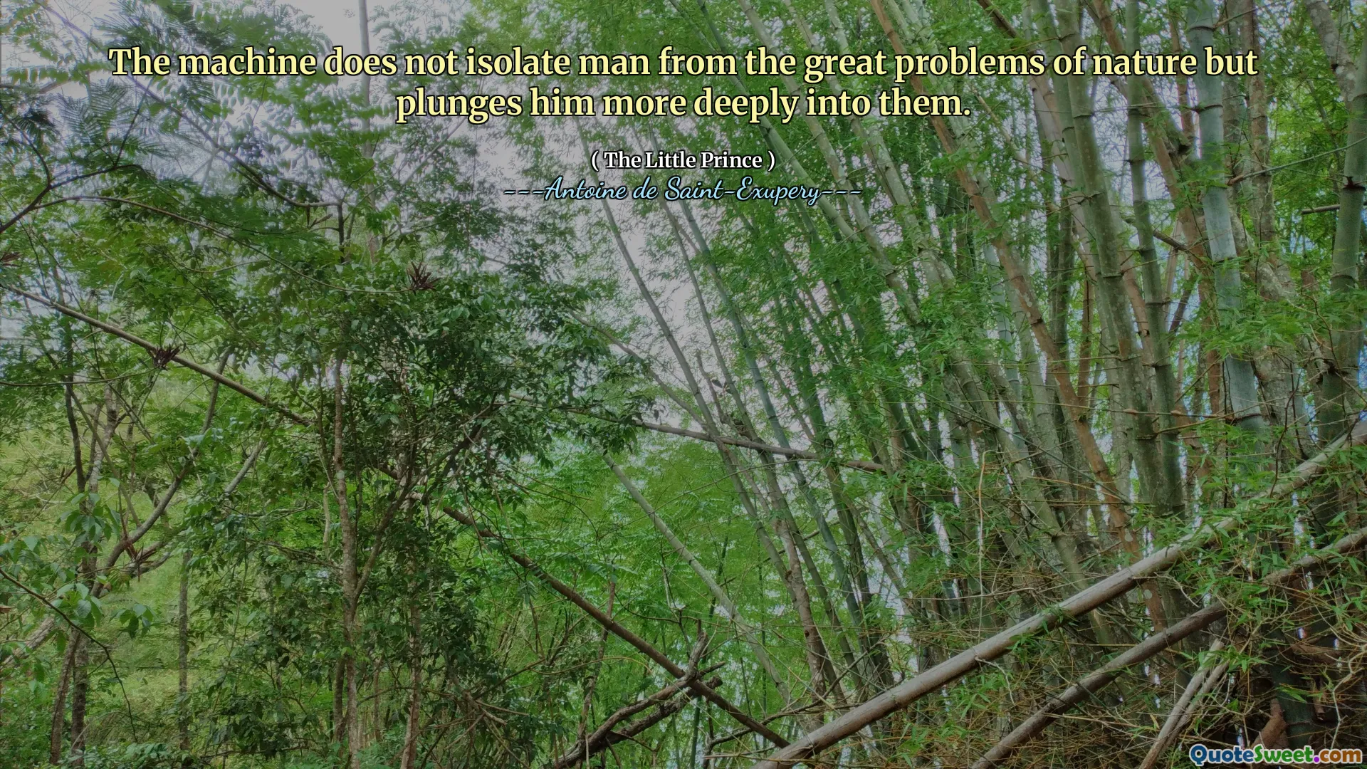 The machine does not isolate man from the great problems of nature but plunges him more deeply into them.