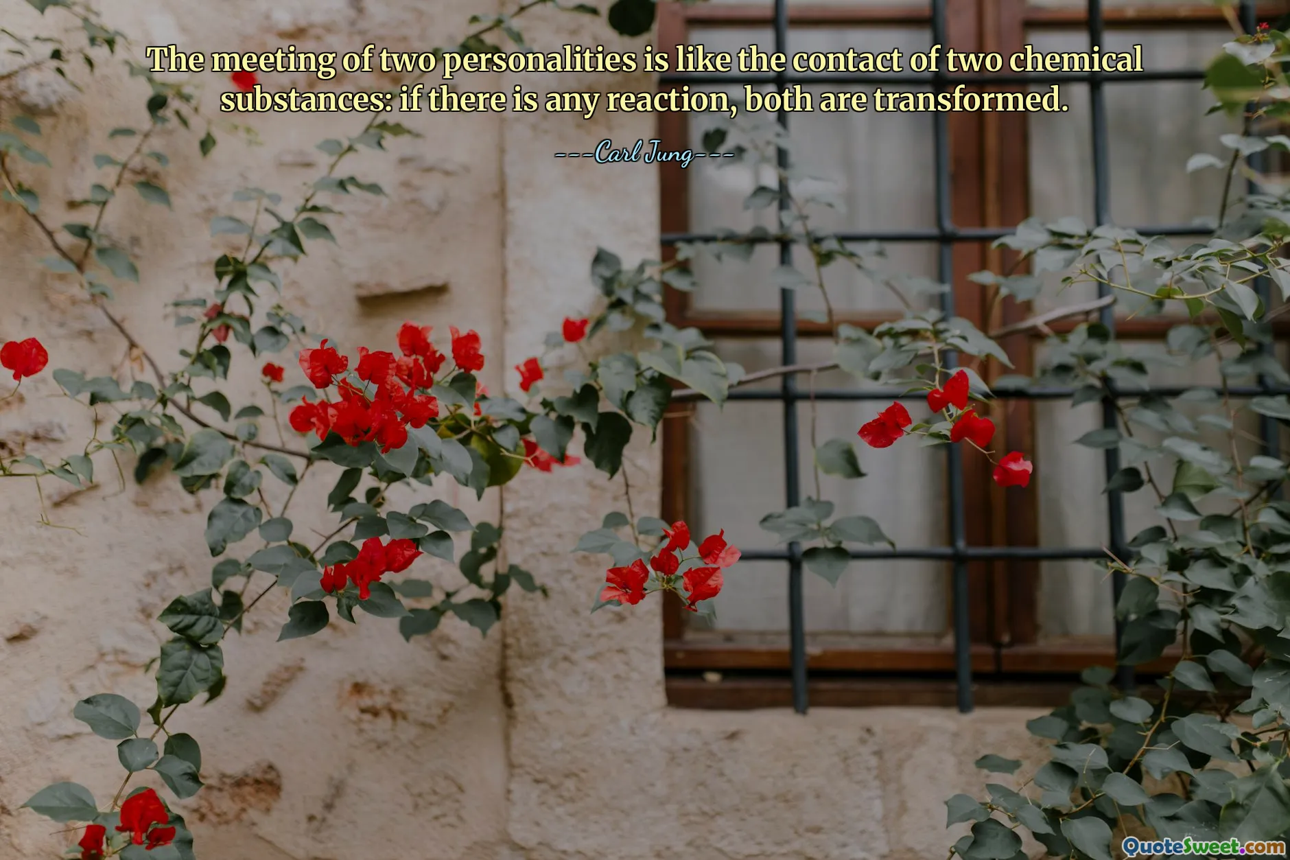 The meeting of two personalities is like the contact of two chemical substances: if there is any reaction, both are transformed.