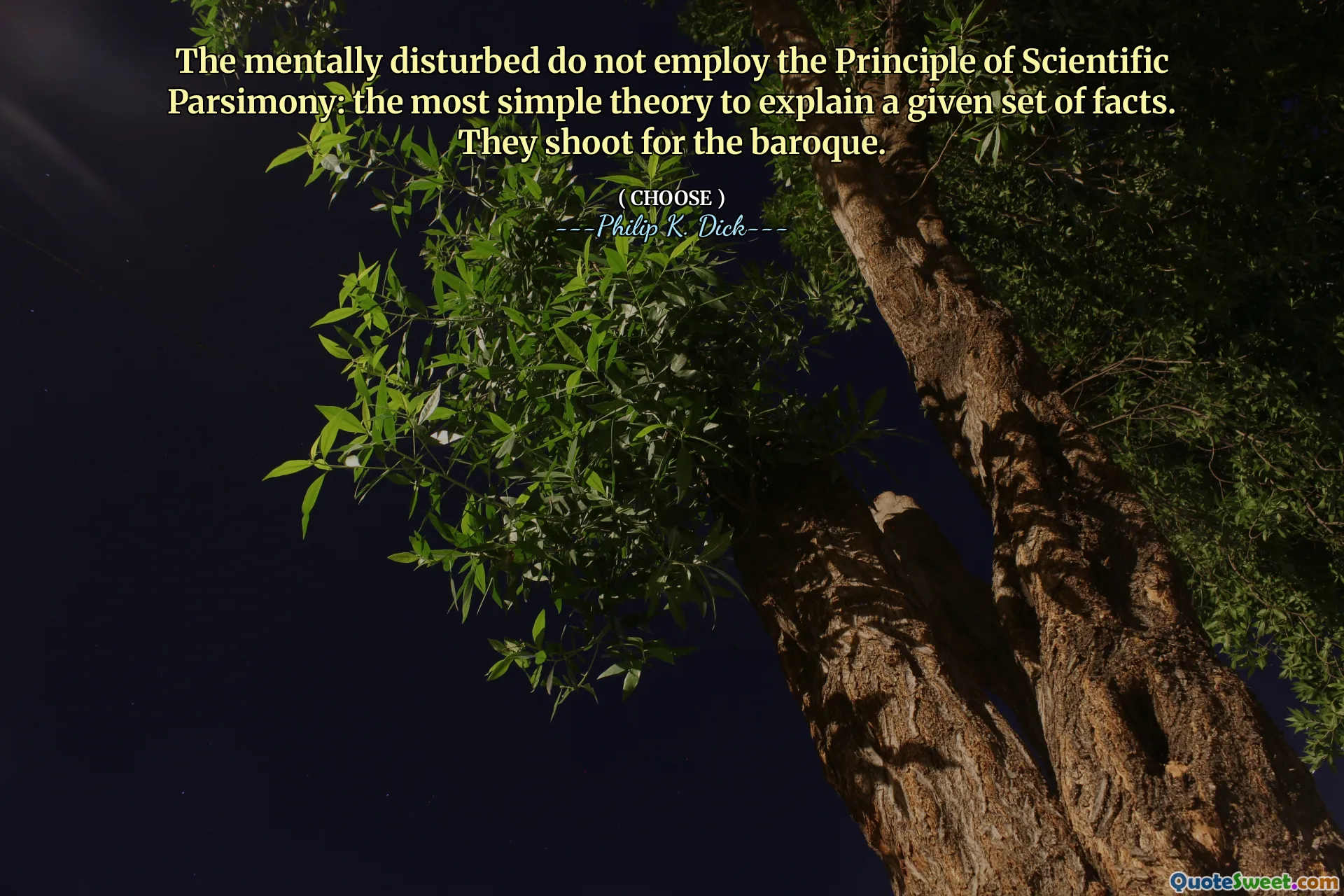 Los perturbados mentalmente no emplean el principio de la parsimonia científica: la teoría más simple para explicar un conjunto de hechos dado. Disparan para el barroco.
