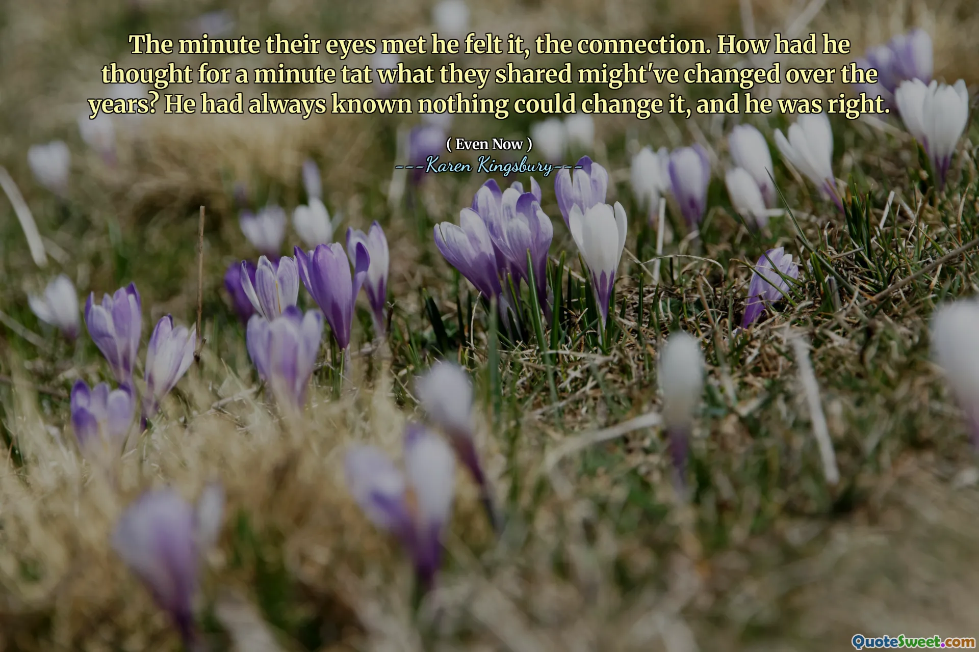 The minute their eyes met he felt it, the connection. How had he thought for a minute tat what they shared might've changed over the years? He had always known nothing could change it, and he was right.