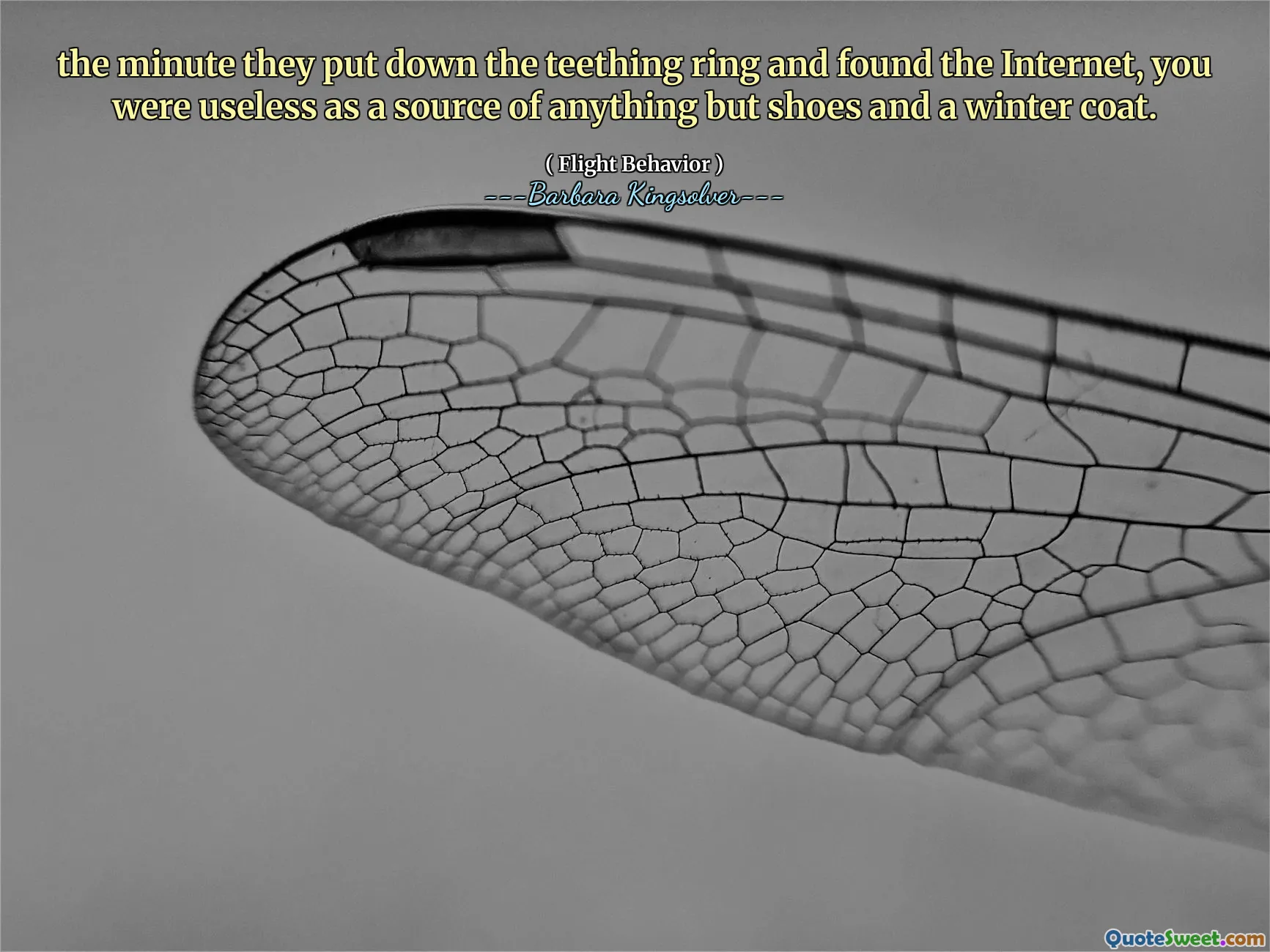 När de satte ner tandringen och hittade internet var du värdelös som en källa till allt annat än skor och en vinterrock.