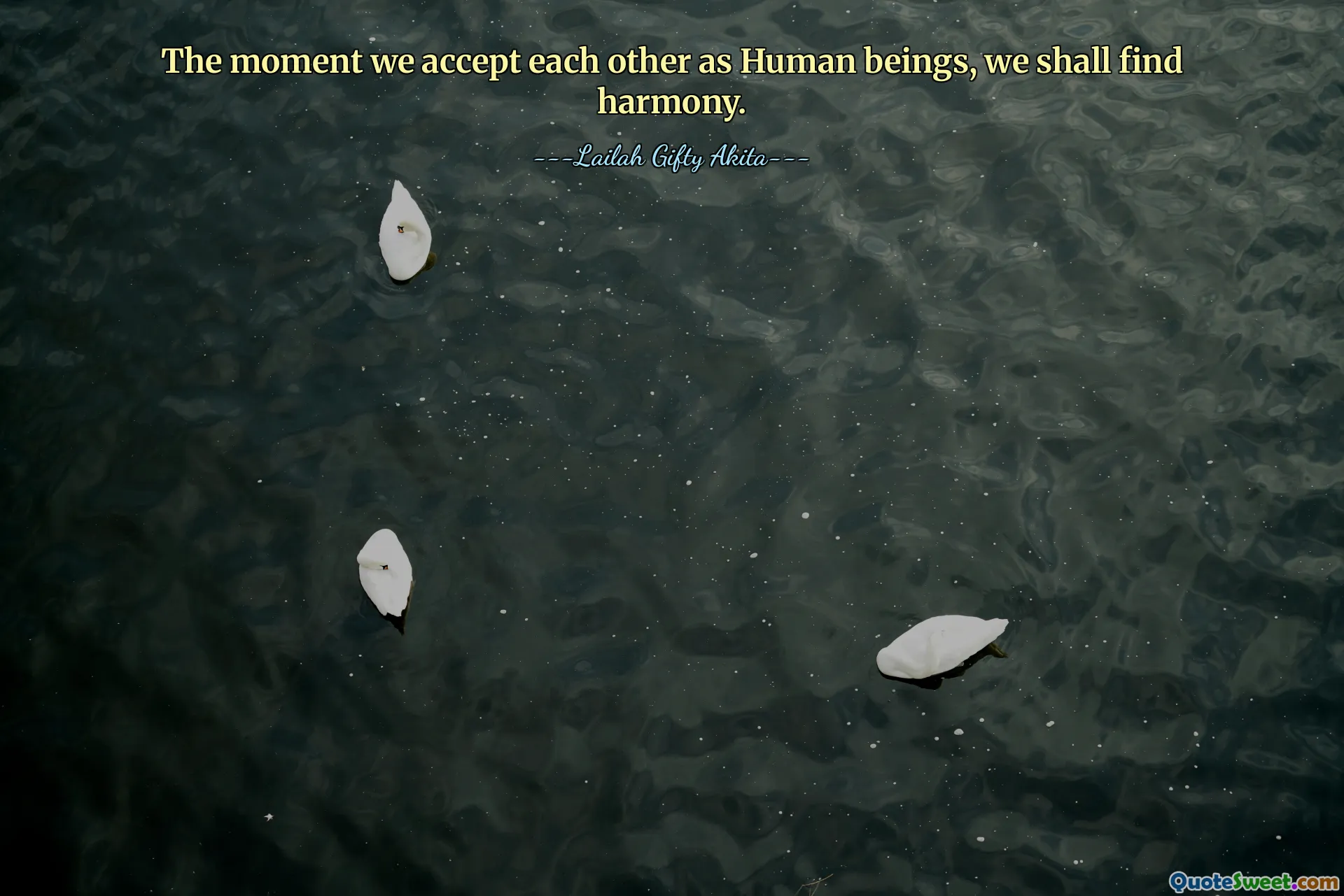 The moment we accept each other as Human beings, we shall find harmony.