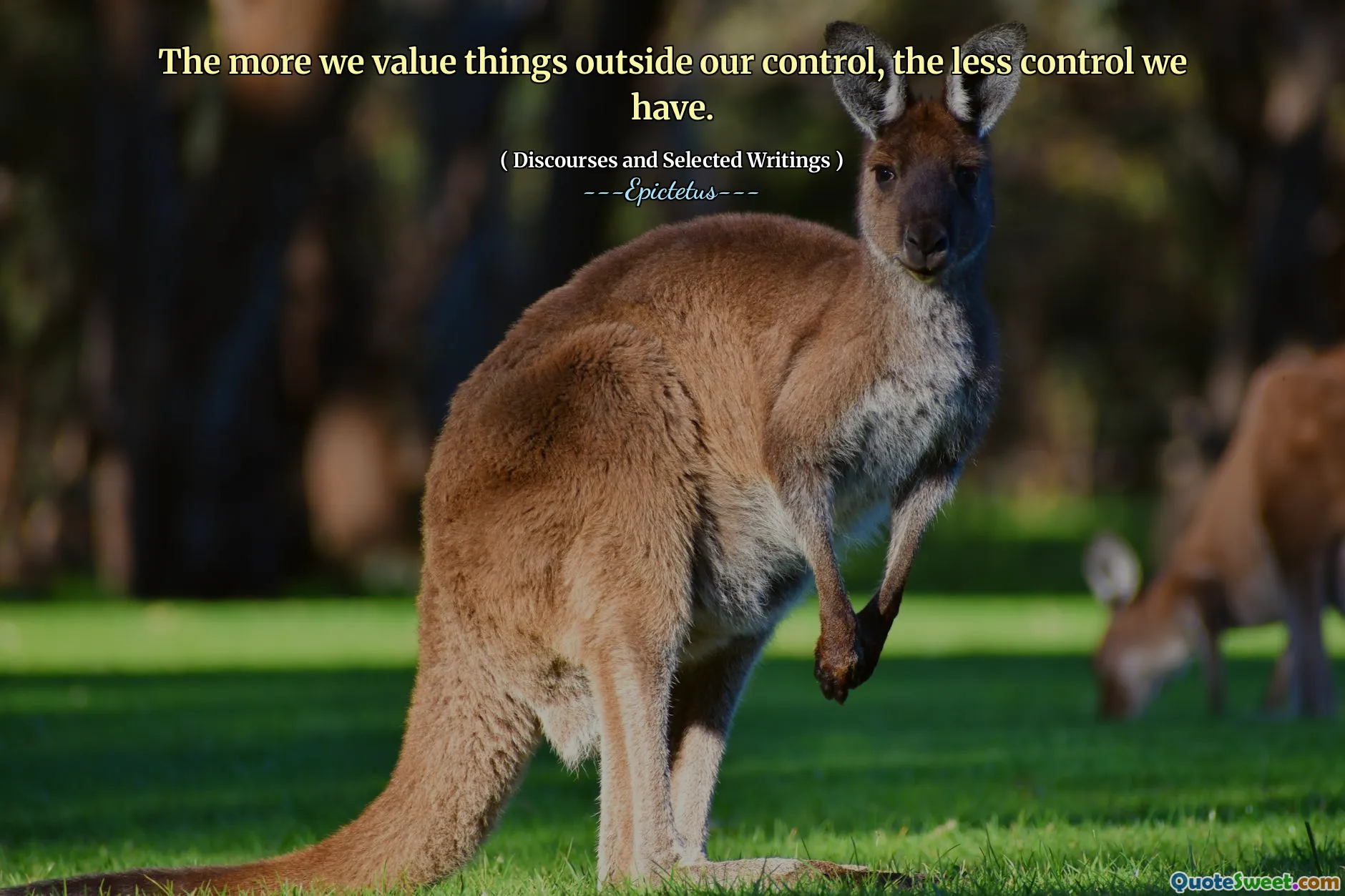 Chúng ta càng đánh giá cao những thứ ngoài tầm kiểm soát của chúng ta, chúng ta càng ít kiểm soát.