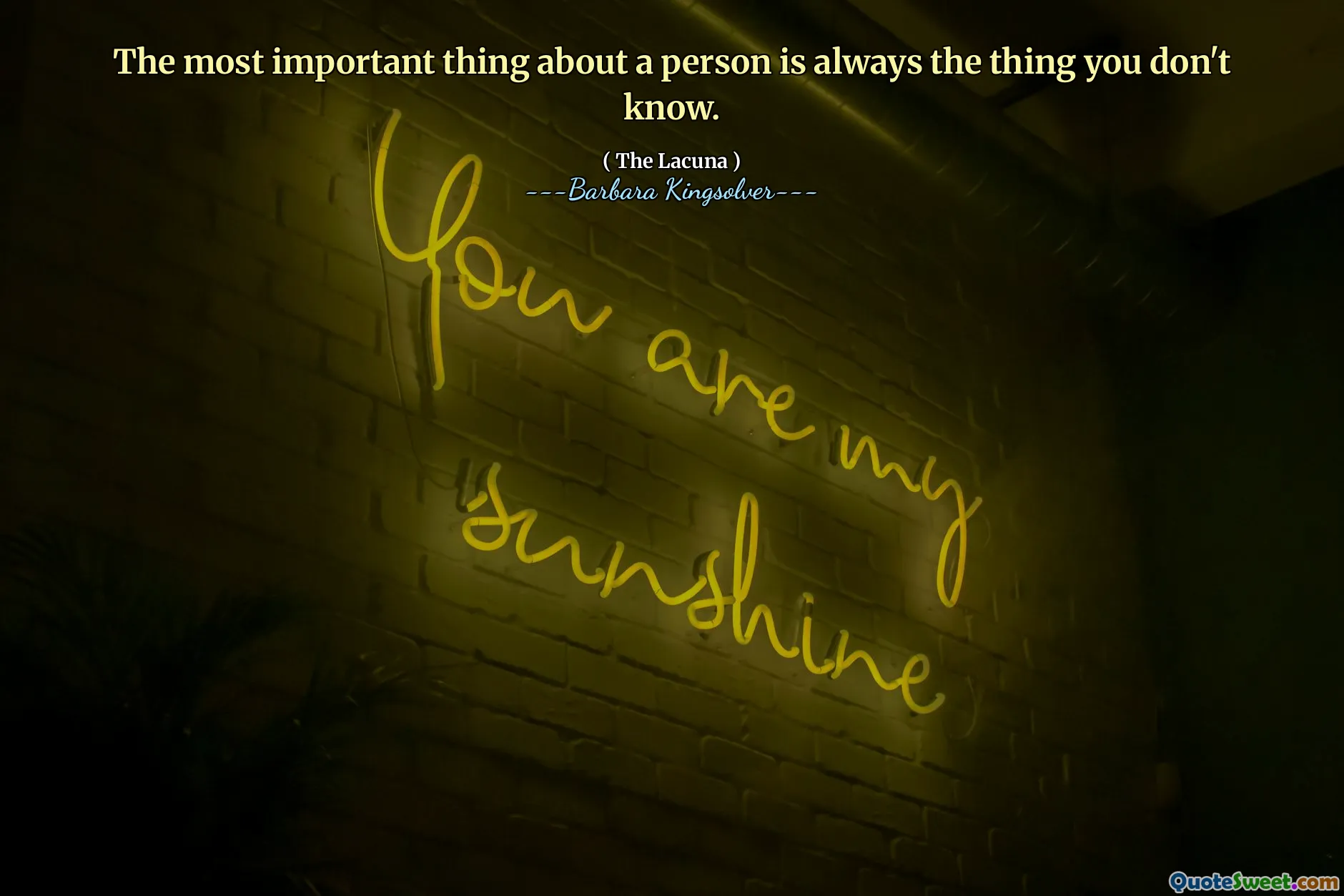 The most important thing about a person is always the thing you don't know.