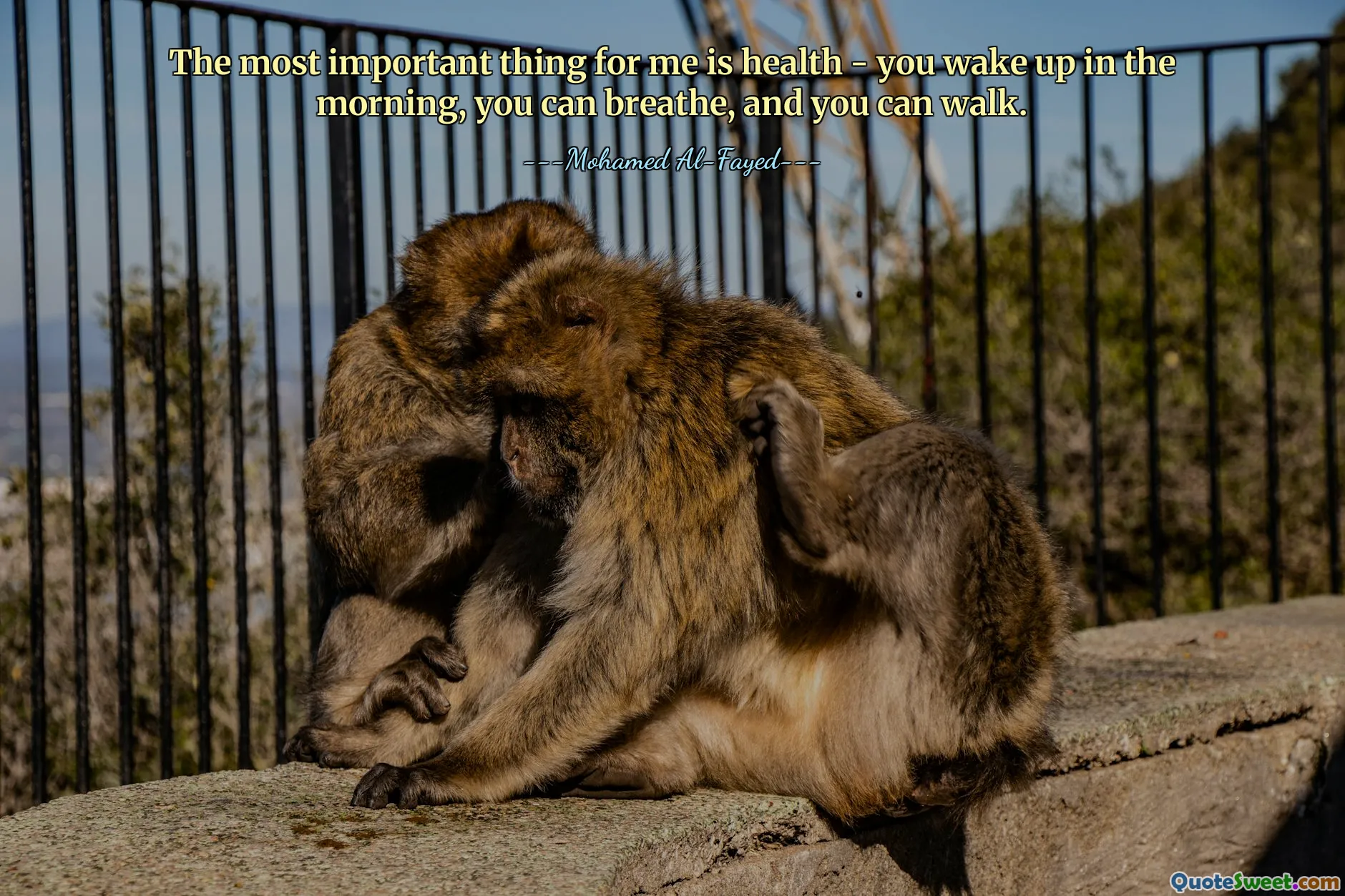 The most important thing for me is health - you wake up in the morning, you can breathe, and you can walk.