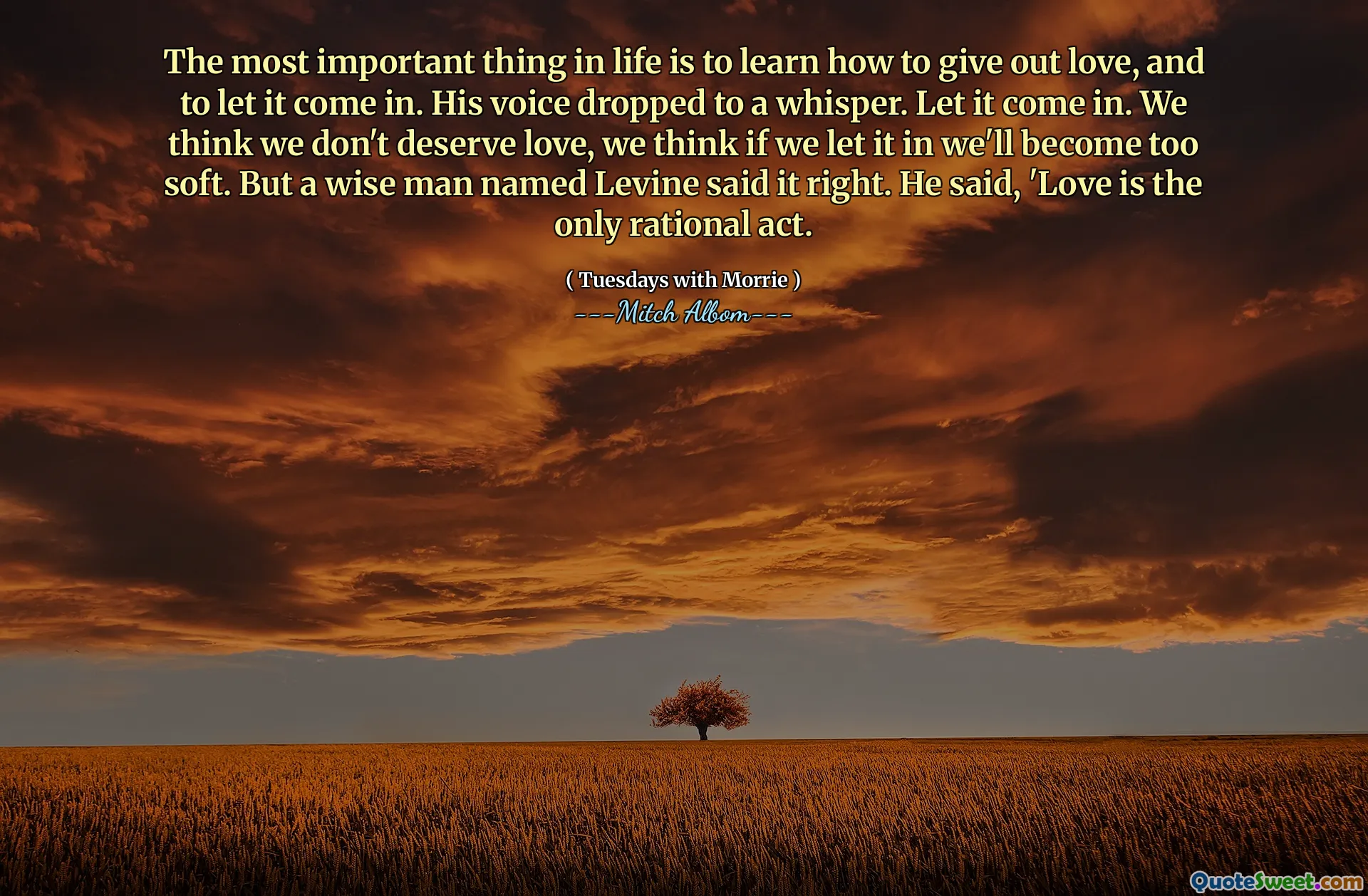 La cosa più importante della vita è imparare a dare amore e lasciarlo entrare. La sua voce è caduta su un sussurro. Lascia che entri. Pensiamo che non meritiamo l'amore, pensiamo che se lo facciamo entrare diventeremo troppo morbido. Ma un uomo saggio di nome Levine ha detto bene. Ha detto: 'L'amore è l'unico atto razionale.
