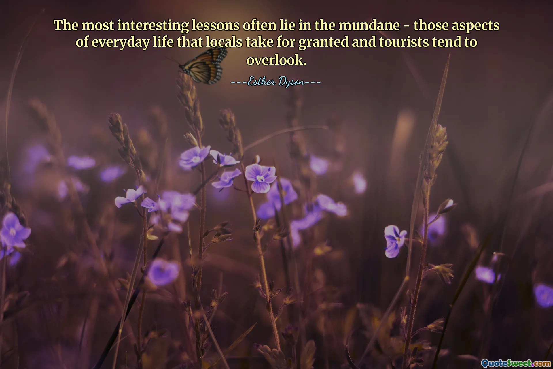 The most interesting lessons often lie in the mundane - those aspects of everyday life that locals take for granted and tourists tend to overlook.