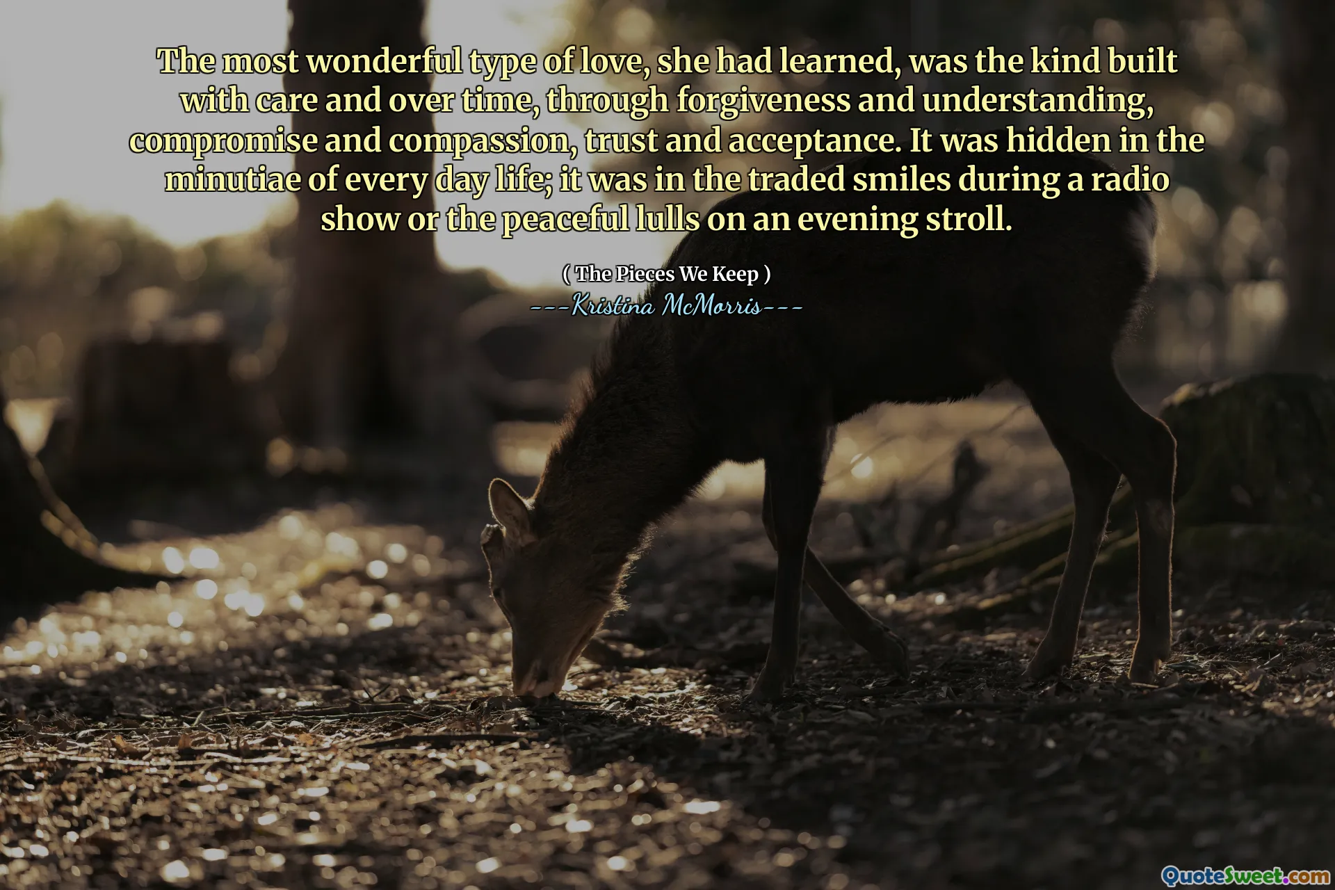 The most wonderful type of love, she had learned, was the kind built with care and over time, through forgiveness and understanding, compromise and compassion, trust and acceptance. It was hidden in the minutiae of every day life; it was in the traded smiles during a radio show or the peaceful lulls on an evening stroll.