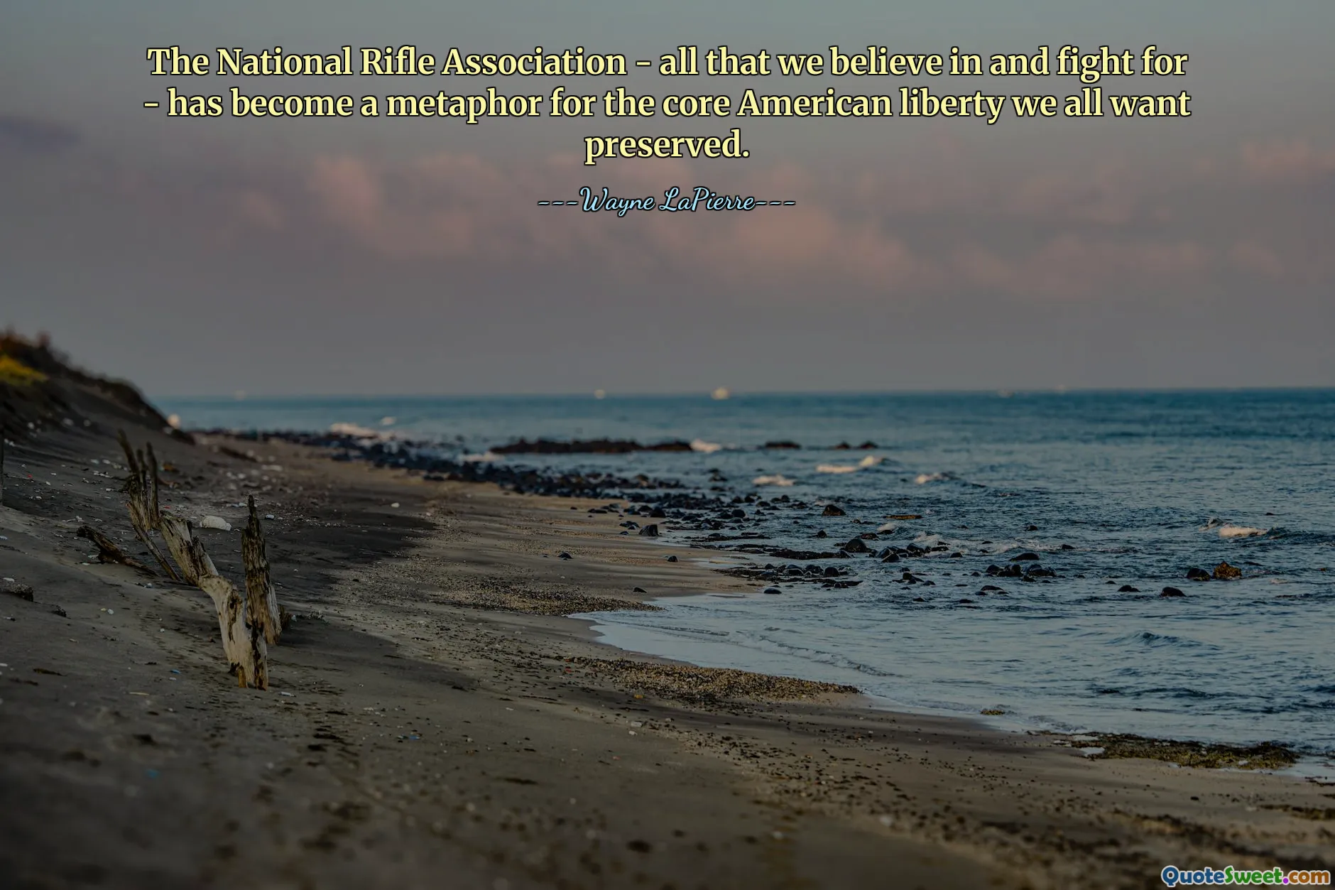 The National Rifle Association - all that we believe in and fight for - has become a metaphor for the core American liberty we all want preserved.