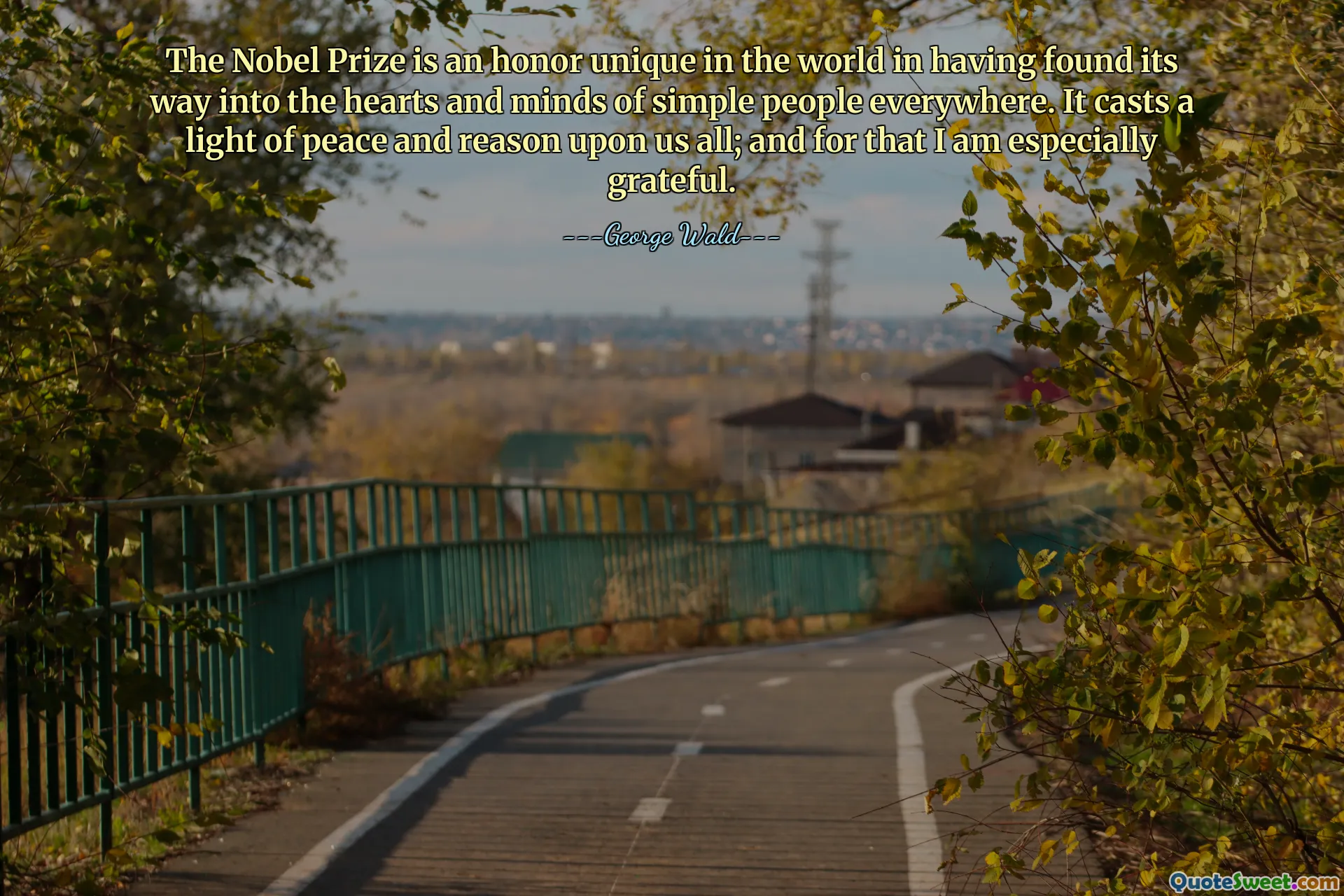 Hadiah Nobel merupakan suatu kehormatan yang unik di dunia karena telah berhasil menyentuh hati dan pikiran orang-orang sederhana di mana pun. Hal ini memberikan cahaya kedamaian dan akal budi kepada kita semua; dan untuk itu saya sangat berterima kasih.