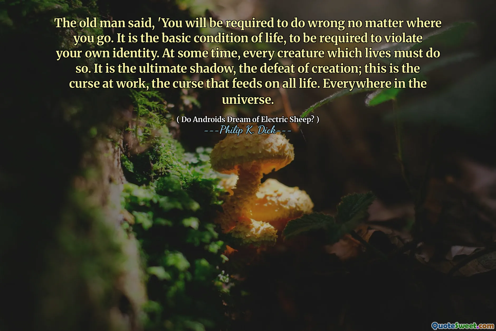 Старик сказал: «Вам потребуется делать неправильно, куда бы вы ни пошли. Это основное условие жизни, необходимое для нарушения вашей собственной личности. В каком -то времени каждое существо, которое живет, должно это делать. Это окончательная тень, поражение творения; Это проклятие на работе, проклятие, которое питается всей жизнью. Везде во вселенной.