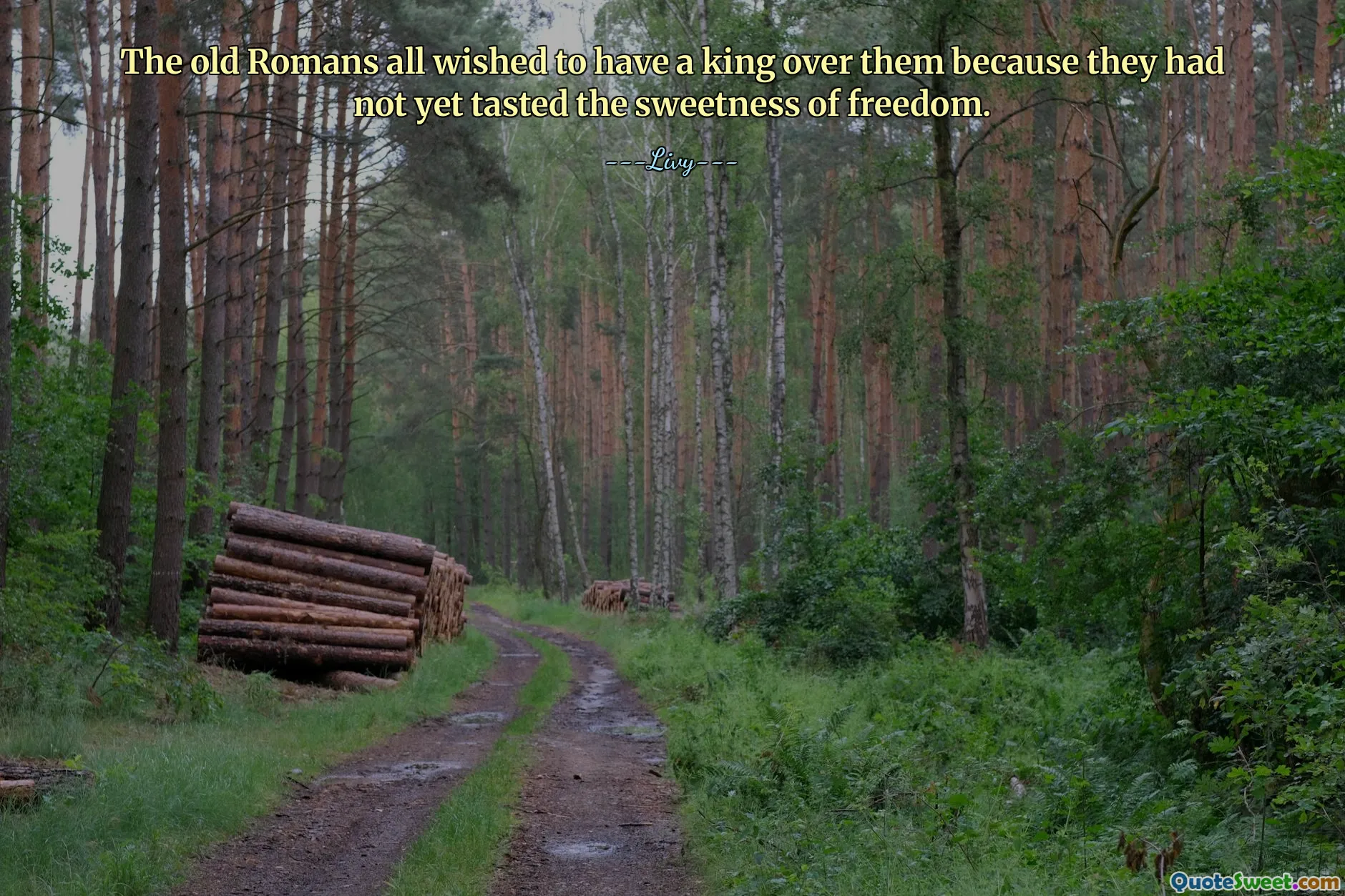 The old Romans all wished to have a king over them because they had not yet tasted the sweetness of freedom.